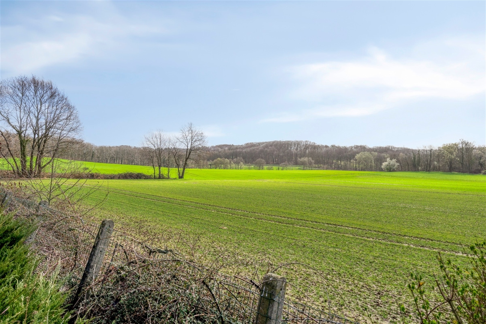 Te renoveren woning met unieke vergezichten - foto 5