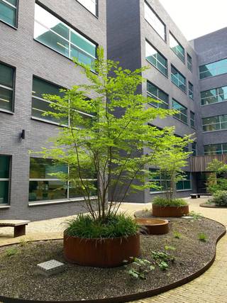 Kantoor m²- mooie open kantoor ruimte- gedeelde grote aangename keuken- sanitair...