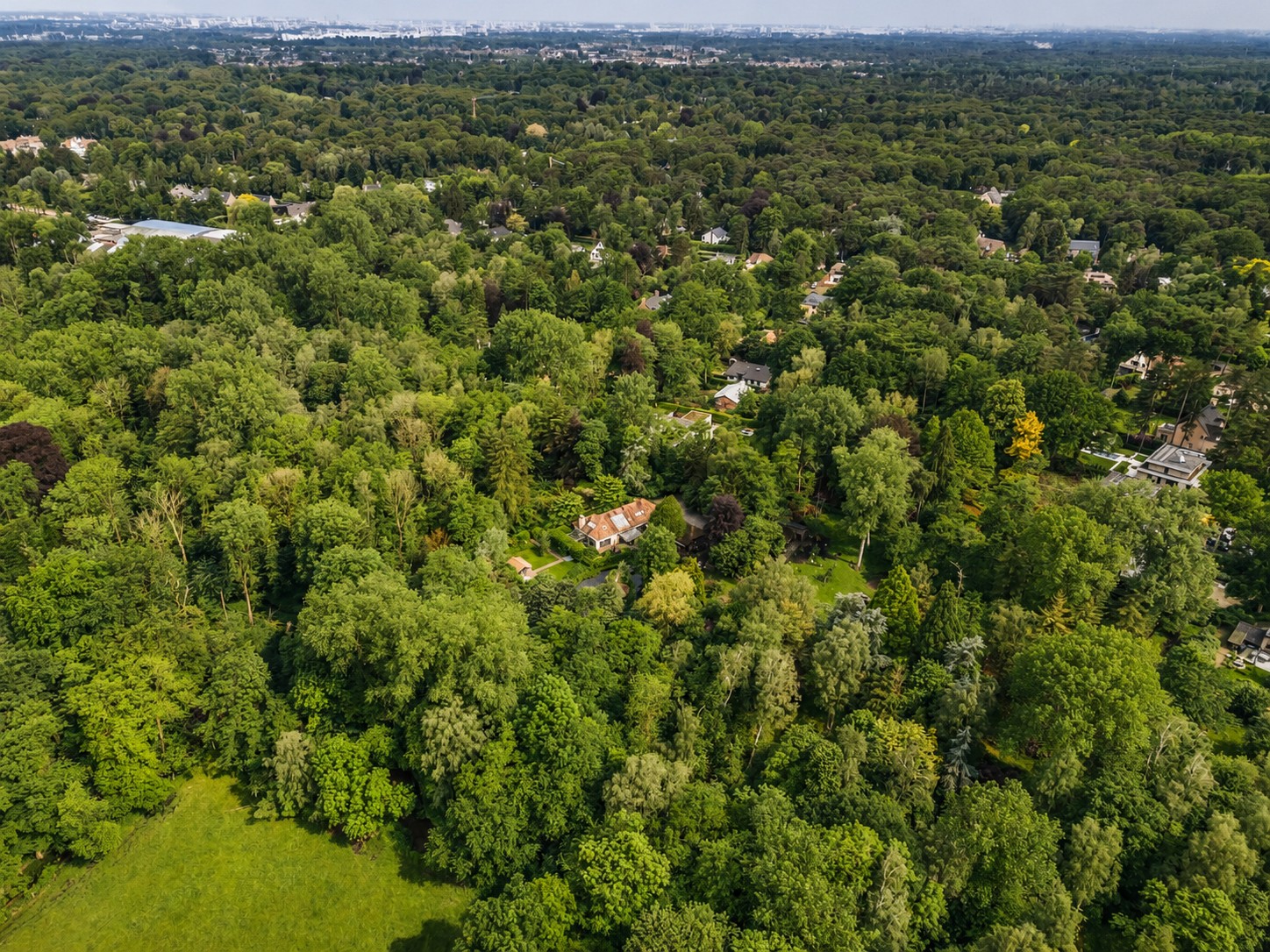 Exclusieve villa op uniek domein van 20.201 m² op een topligging - foto 5