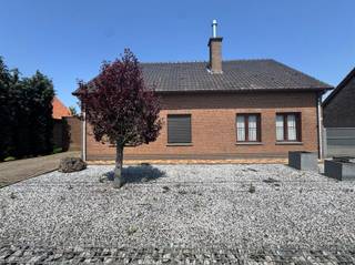 Deze instapklare woning in Sint-Gillis-Waas wordt uitsluitend verhuurd aan zelfstandigen, bedrijven of voor de huisvesting van personeel. De woning...
