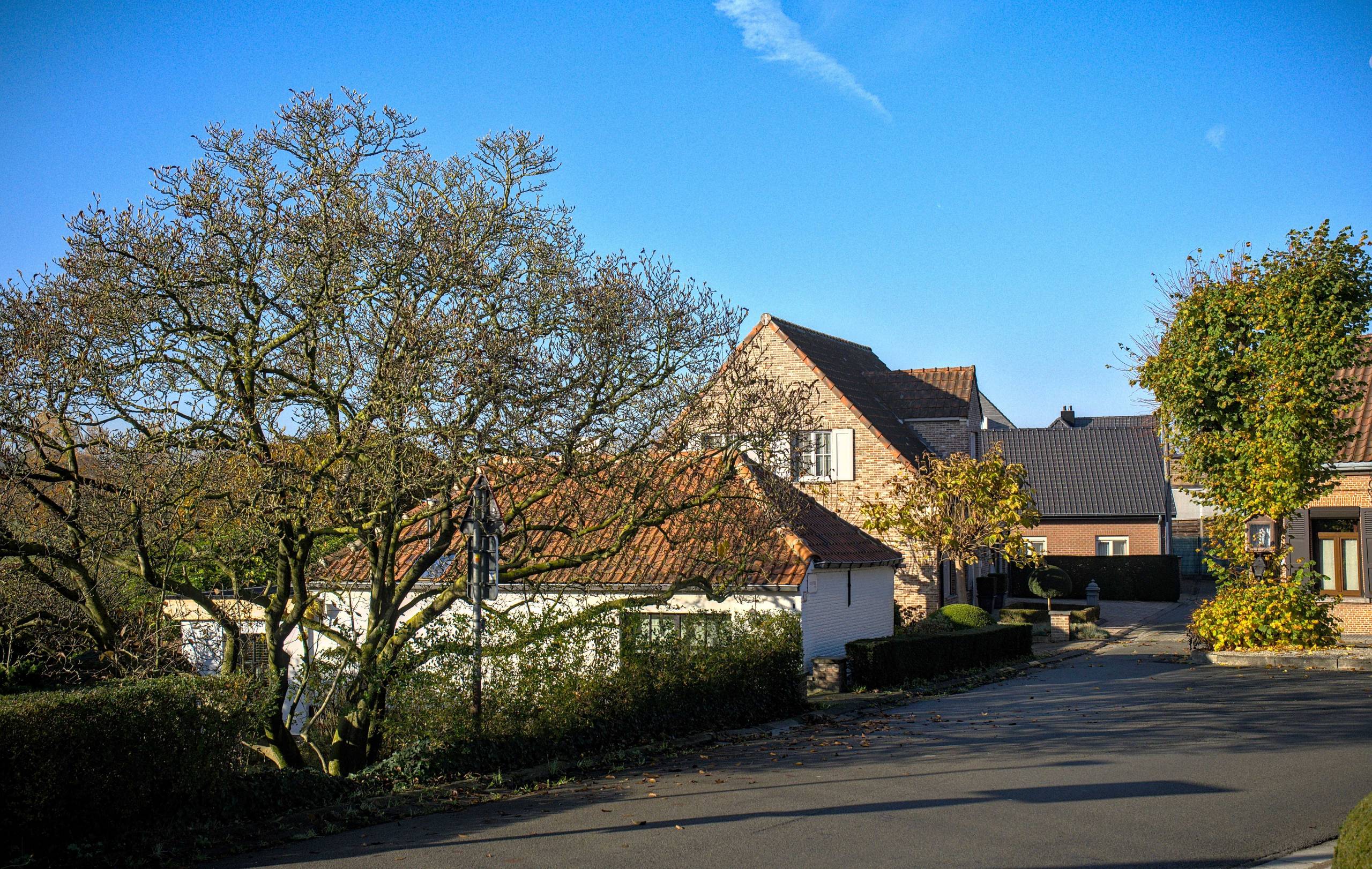 Maison à vendre à Belsele avec 1 chambre - photo 3