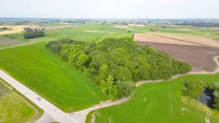 <span><span>Tussen Vladslo en Leke, nabij <strong>Diksmuide</strong>, bieden wij u dit uitzonderlijke stukje natuurschoon aan. Dit <strong>perceel bos</strong>, gelegen in <strong>natuurgebied</strong>, meet een totale grondoppervlakte van <strong>31.480 m²</strong>, en situeert zich in de onmiddellijke omgeving van het 'Praetbos' en het 'Duits Militair kerkhof WOI'.<br /><br />Het betreffende perceel, nl. A165d, bevindt zich <strong>ter hoogte van het kruispunt van de Houtlandstraat en de Ramboutstraat</strong>, en is toegankelijk via diezelfde Ramboutstraat. Het perceel is volledig afgesloten en te betreden via een afsluitbare toegangspoort.<br /><br />Enig in zijn soort in de ruime omgeving! Bent u een fervent natuurliefhebber? Dan is dit vast iets voor u!<br /><br />Wenst u meer informatie of een bezoek ter plaatse? Aarzel niet en contacteer ons kantoor op het nummer 051 50 11 51 of per mail via diksmuide@diksimmo.be.</span></span>