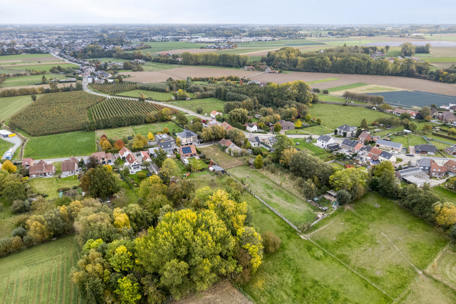 Gerenoveerde hoeve met bijgebouwen en 8 stallen. - foto 4