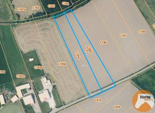 HOFSTADE - Weide op +/-41areDit perceel kunt u terugvinden onder AALST AFD5/Hofstade sectie: C, nummers: 745a & 745a/2Vrij van pacht en gelegen in...