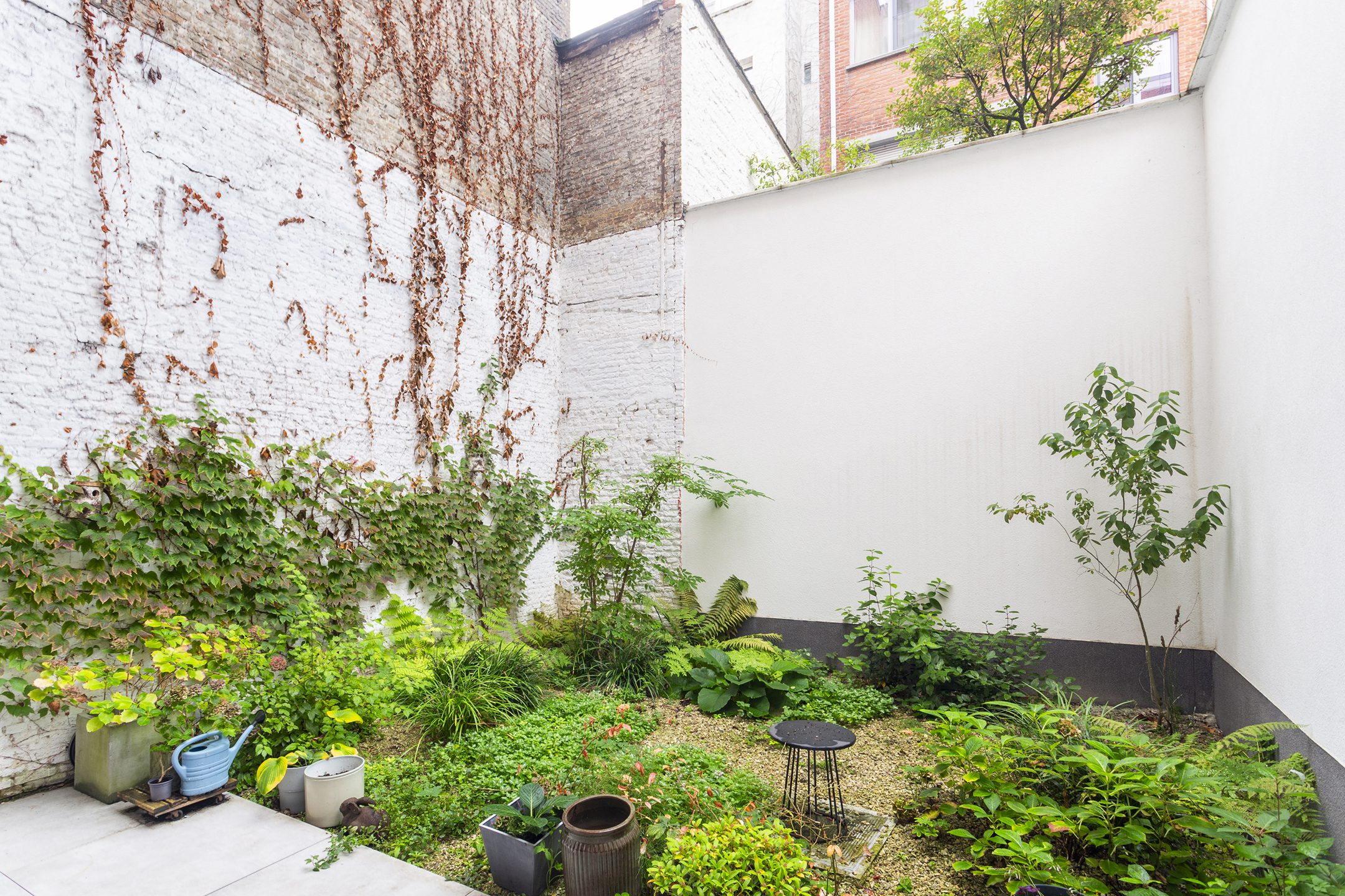 luxueus gelijkvloers met stadstuin van ca 41 m² - foto 4