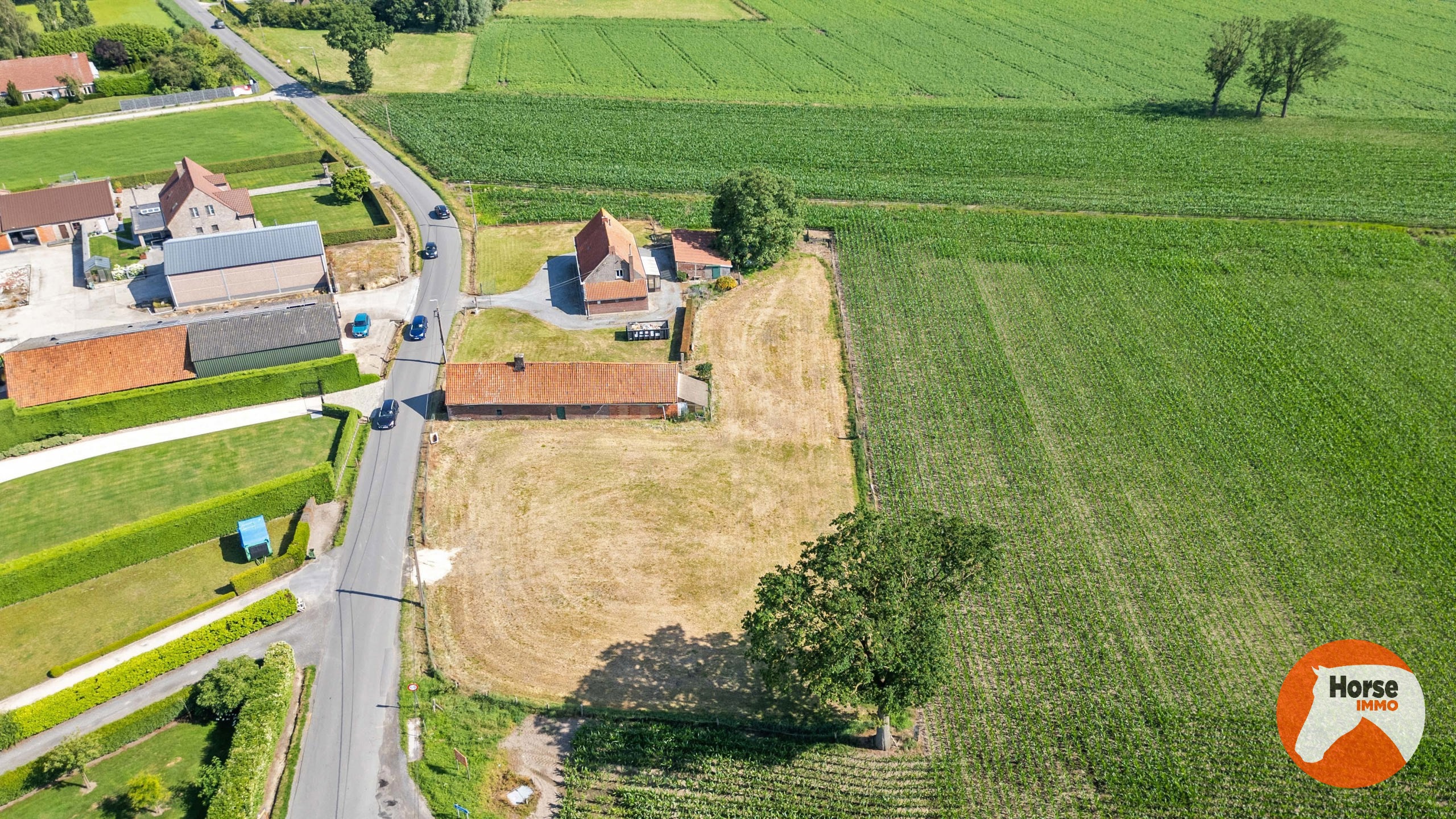 AALTER - Hoeve met schuur op 1,4HA - foto 3