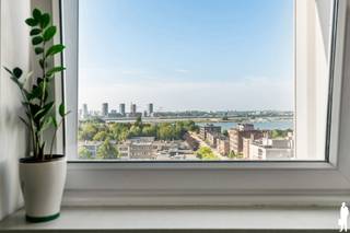 <strong>Lichtrijk 3-slaapkamerappartement met panoramisch uitzicht over Antwerpen en de Schelde<br /><br /></strong>Welkom in dit verzorgde en lichtrijke 3-slaapkamerappartement op de 9de verdieping waar ruimte, comfort en een uitstekende ligging samenkomen. Dankzij de grote raampartijen geniet u de hele dag van een uitzonderlijke lichtinval en een panoramisch uitzicht over het Antwerpse Zuid, de Schelde, het Galgenweel en zelfs de Antwerpse kathedraal.<br /><br />De ruime woonkamer sluit aan op een zonnig westgericht terras waar u elke avond kunt genieten van prachtige zonsondergangen. De praktische keuken biedt veel opbergruimte en is recent uitgerust met een nieuwe vaatwasser en een vrijstaande koel-vriescombinatie. Verder beschikt het appartement over drie volwaardige slaapkamers, een verzorgde badkamer, een aparte was-/bergruimte en een afzonderlijk gastentoilet.<br /><br />In 2022 werd het appartement vernieuwd met een onderhoudsvriendelijke LVT-vloer en een praktisch ingerichte berging. Ook het gebouw werd de voorbije jaren grondig aangepakt met onder meer dakisolatie, gevelisolatie en vernieuwde technische schachten.<br /><br />De ligging is een absolute troef: tram en bus stoppen letterlijk voor de deur, het historische centrum van Antwerpen is vlot bereikbaar en via de E17, E34 en de Waaslandtunnel bent u in een mum van tijd onderweg. Winkels, scholen, horeca en tal van recreatiemogelijkheden bevinden zich in de directe omgeving.<br /><br />Het appartement is momenteel verhuurd, maar kan indien gewenst vrij worden opgeleverd bij het verlijden van de akte.<br /><br />Bijzonderheden:<br />- EPC score B<br />- Asbestveilig<br />- Conform elektriciteitsattest<br />- Gemeenschappelijke fietsenstalling<br />- Vaste kosten: € 300,00 incl. water, verwarming & conciërge<br />- Mogelijkheid tot aankoop van een afgesloten garagebox (€ 30.000)