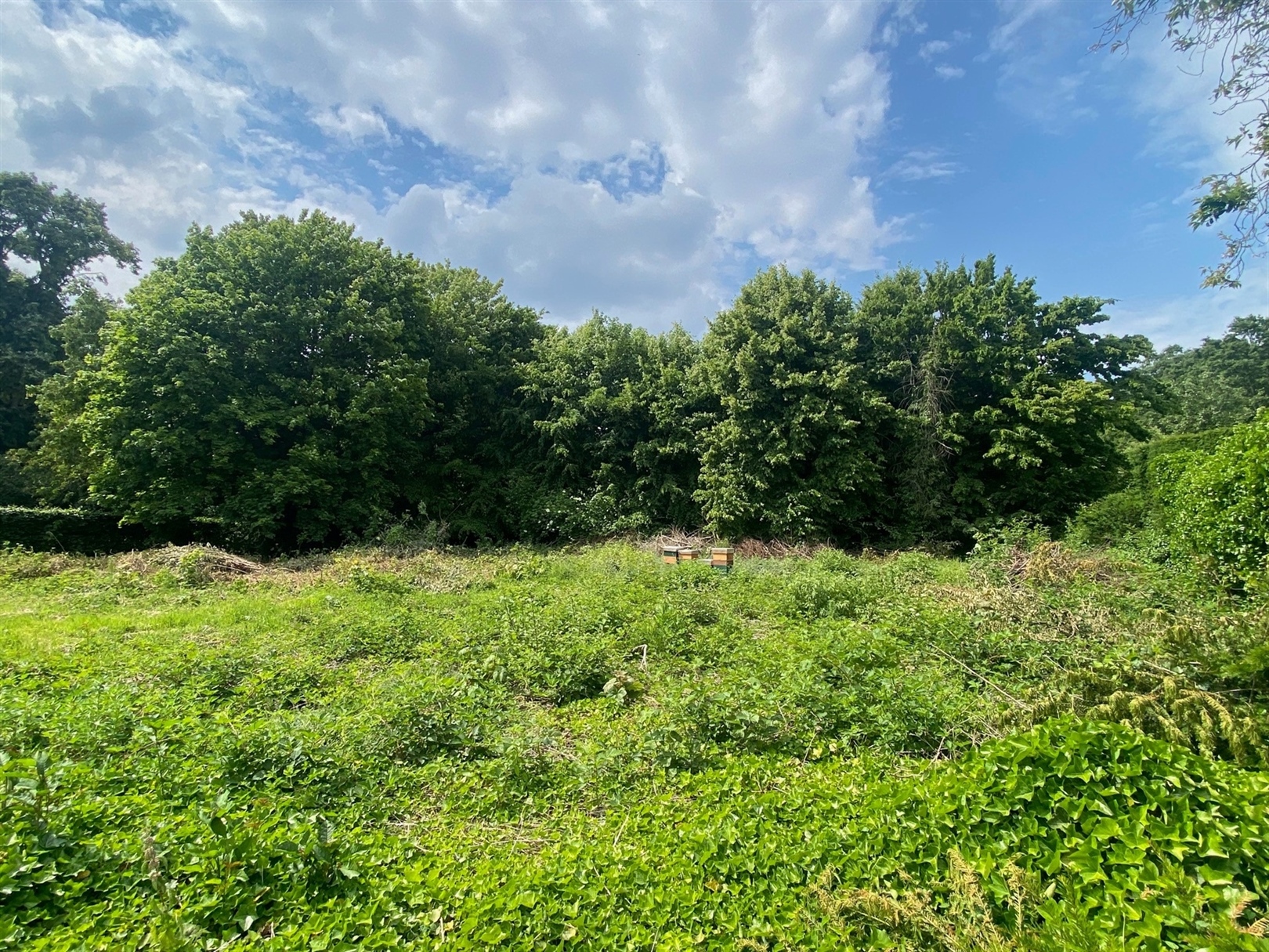 Parc Den Brandt | Terrain à bâtir unique de 1.800m². - photo 1