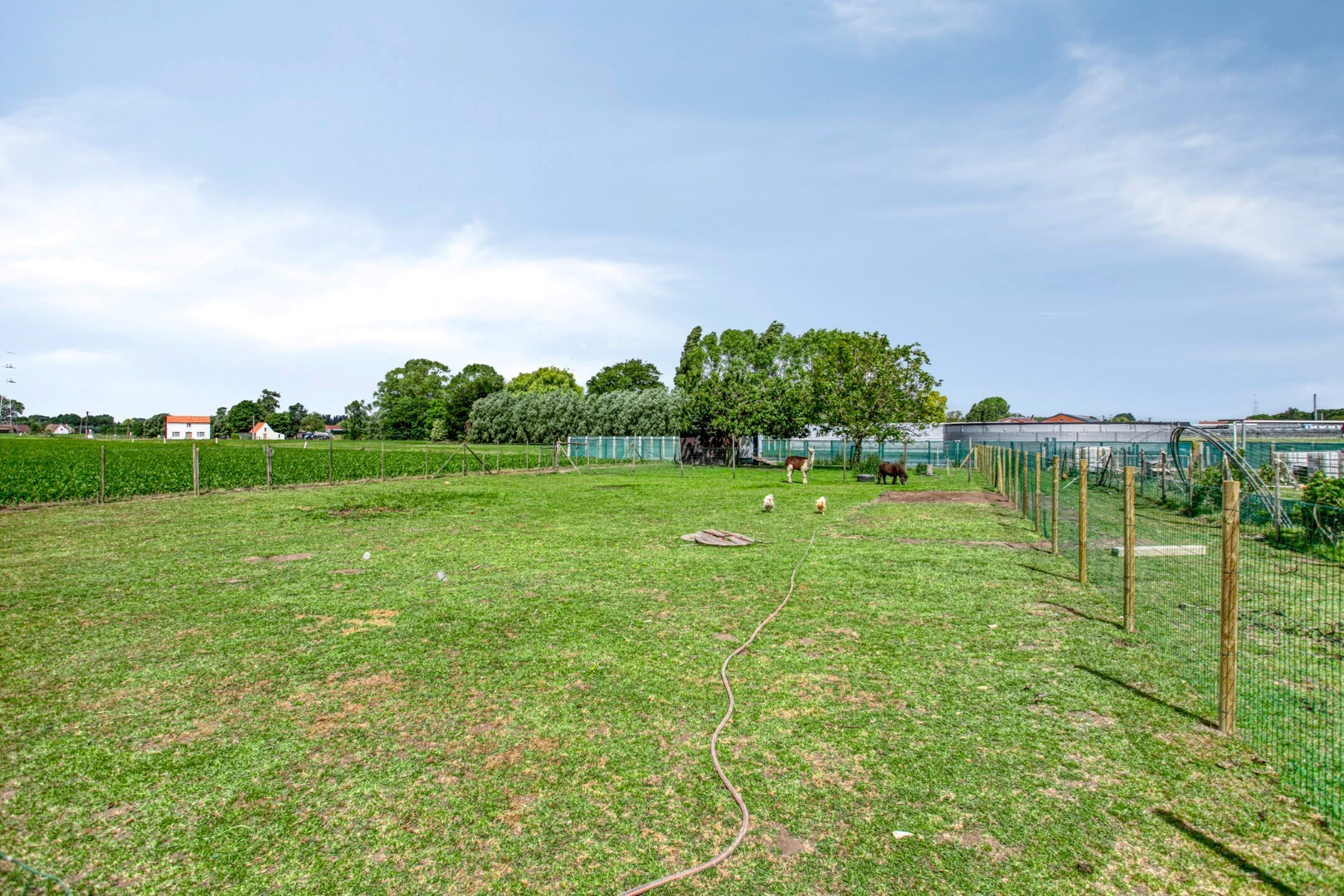 Landelijk gelegen woning of bouwgrond - foto 5