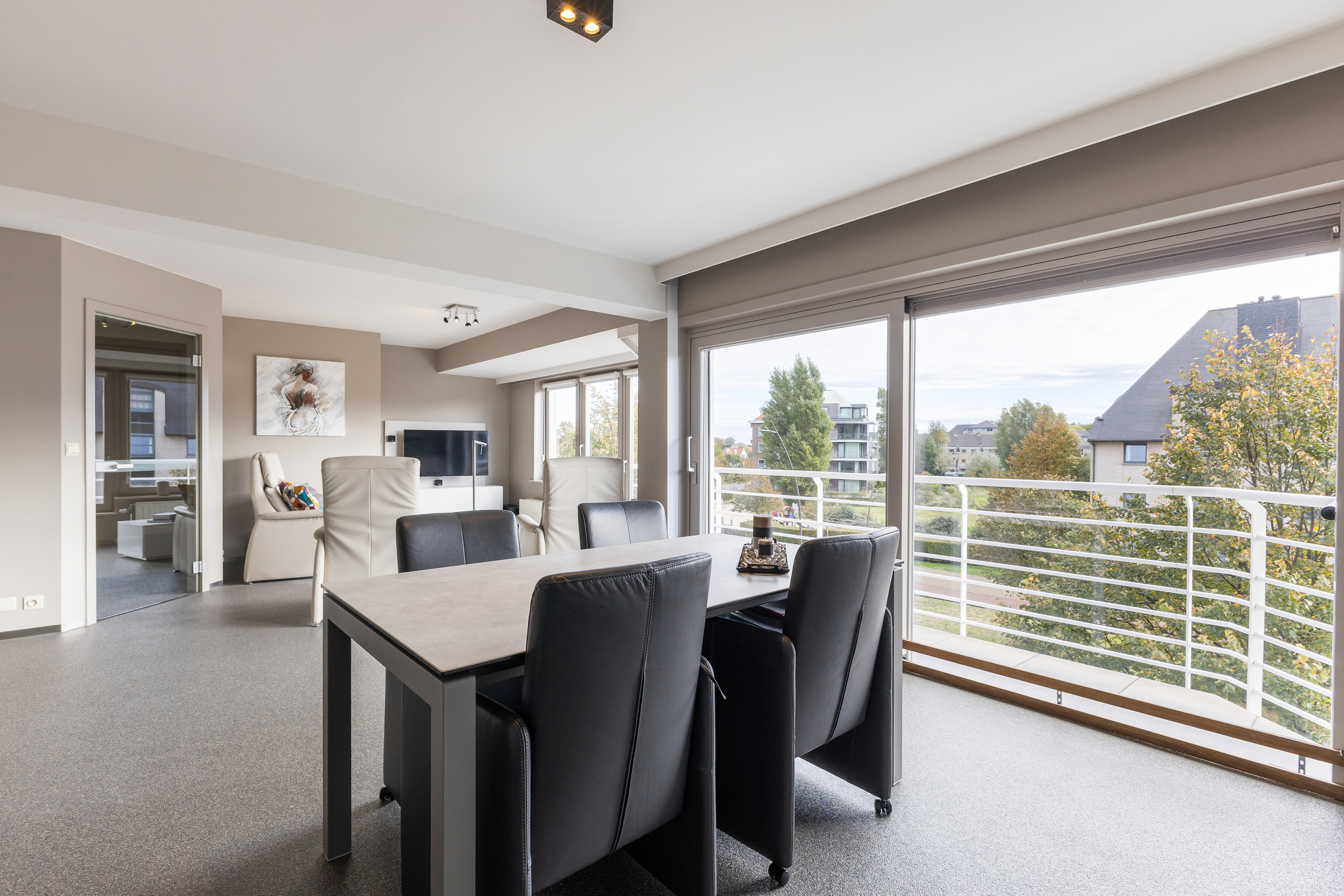 Zongericht appartement met vrij uitzicht te koop in Koksijde - foto 1