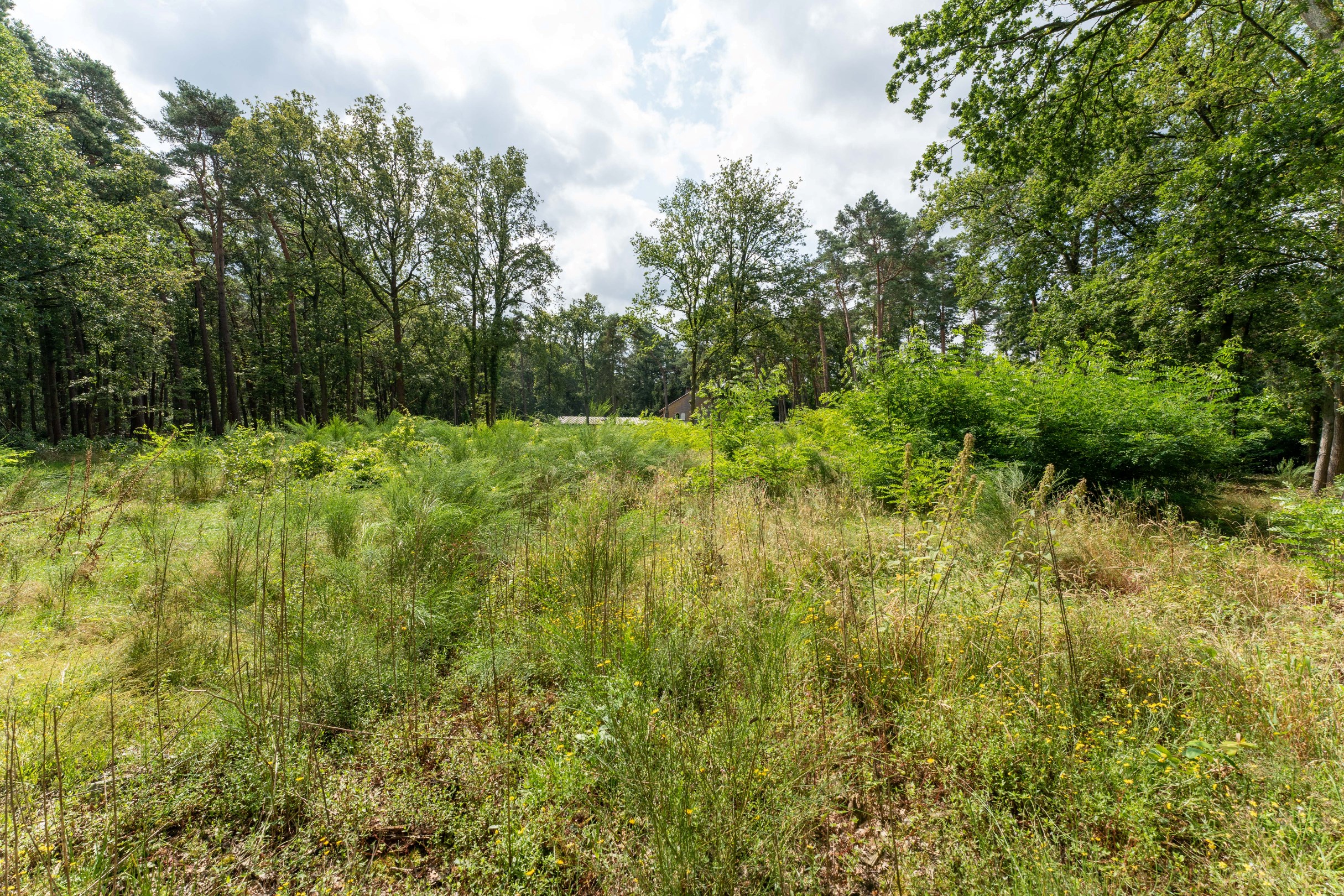 Uitzonderlijk goed gelegen bouwgrond van 4.328m² te Grobbendonk - foto 4