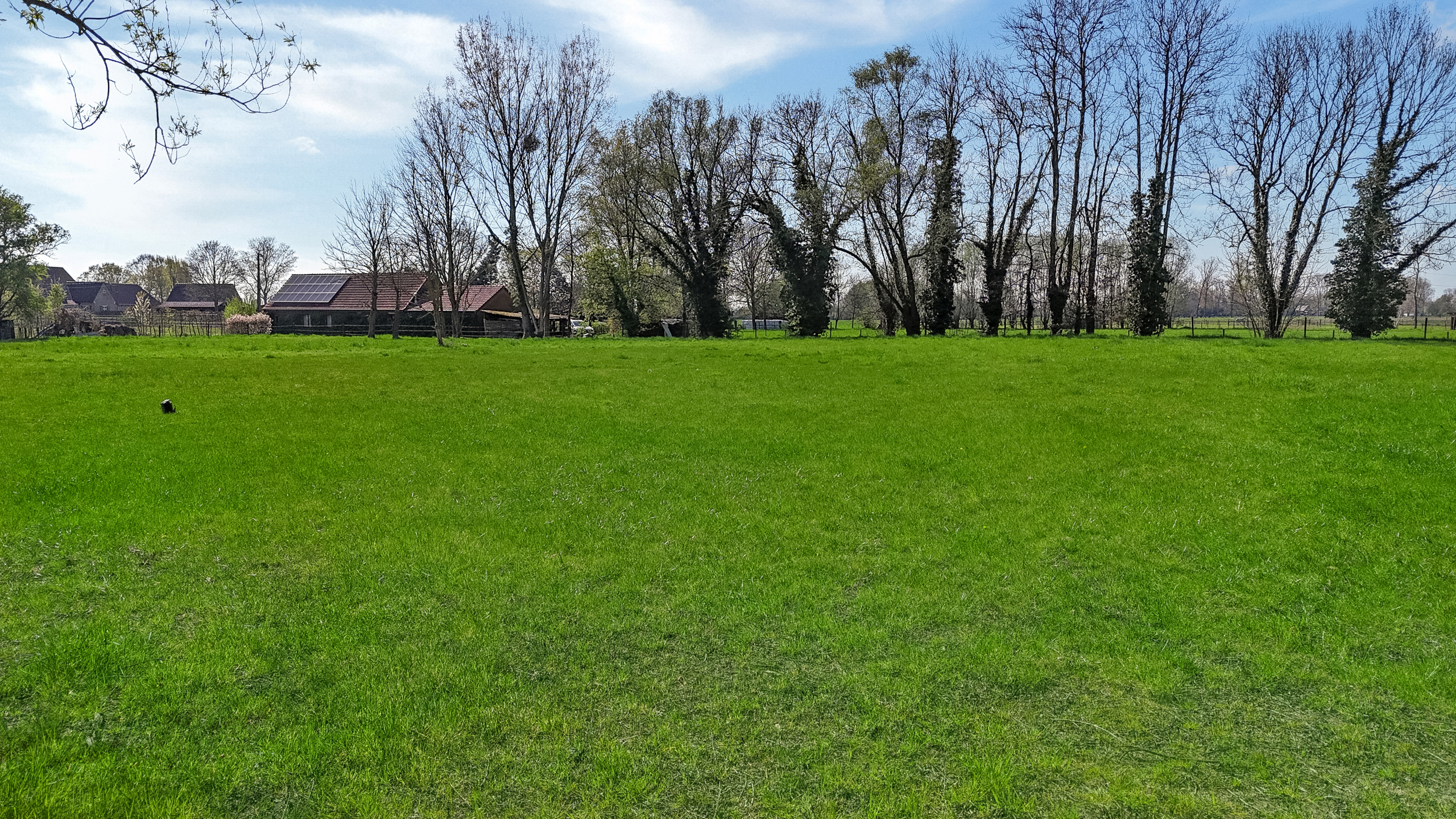 Landelijk gelegen landbouwgrond van 9.807m² vrij van pacht. - foto 5