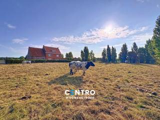 INTERESSANT gelegen hoeve op rustige ligging, doch met zeer VLOTTE verbinding met de autosnelweg! Rustig gelegen hoeve met 2 toegangswegen, wat zeer handig is om privé en werk mooi gescheiden te houden. De hoeve met ruime woonst (7 slpks) heeft 7 ruime bijgebouwen wat zeer INTERESSANT is!<br /><br /><strong>WONING:<br /><u>INDELING:<br /><em>Gelijkvloers:</em></u></strong><br />Inkomhal - RUIME living - keuken (O.a. met fornuis, oven, dampkap en frigo) - eetplaats - kelder - berging - 2 garages - tuin.<br /><br /><strong><u><em>Eerste verdieping</em></u></strong><br />Nachthal - badkamer (O.a. met toilet, lavabo en ligbad met geïntegreerde douche) - 4 RUIME slaapkamers.<br /><br /><strong><u><em>Tweede verdieping:</em></u></strong><br />Nachthal - 3 slaapkamers.<br /><br /><u><strong>Opmerkingen:</strong></u><br />- 7 Bijgebouwen, benaderende oppervlaktes: 204m2, 248m2, 243m2, 141m2, 216m2, 420m2 en 323m2.<br />- Te renoveren.<br />- Mogelijkheid om extra aanpalende landbouwgrond bij te kopen.<br />- Positief pré-advies verleend voor funtiewijziging naar zonevreemd wonen.<br /><br />Aarzel zeker niet om ons te contacteren voor verdere info en/of een bezoek ter plaatse: 050/70.01.02 - info@centro.be.