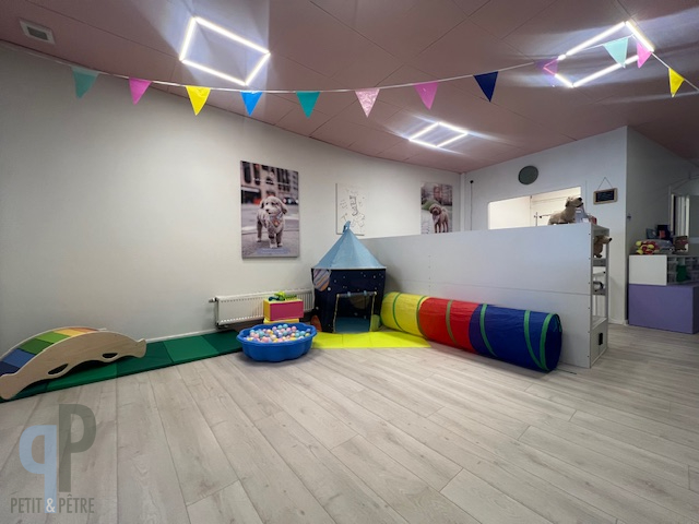 Instapklare opbrengsteigendom op topligging - foto 4