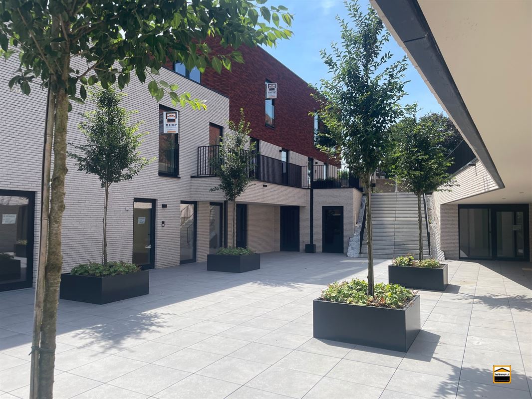 Huis - foto 4