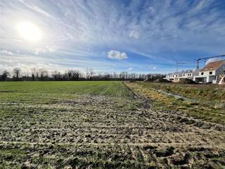 Op het einde van de Eektstraat te Wezemaal, Rotselaar bevindt zich deze 1,27 ha landbouwgrond.Bestemming van de grond volgens gewestplan : agrarische...
