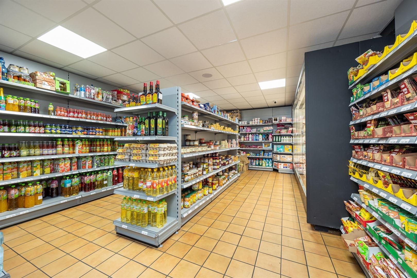 Ruim opbrengsteigendom met lift, garage en verhuurde handelsruimte - foto 2