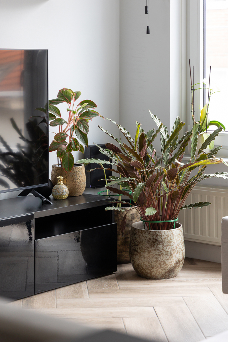 Apartment for sale in Antwerp with 1 bedroom - photo 5