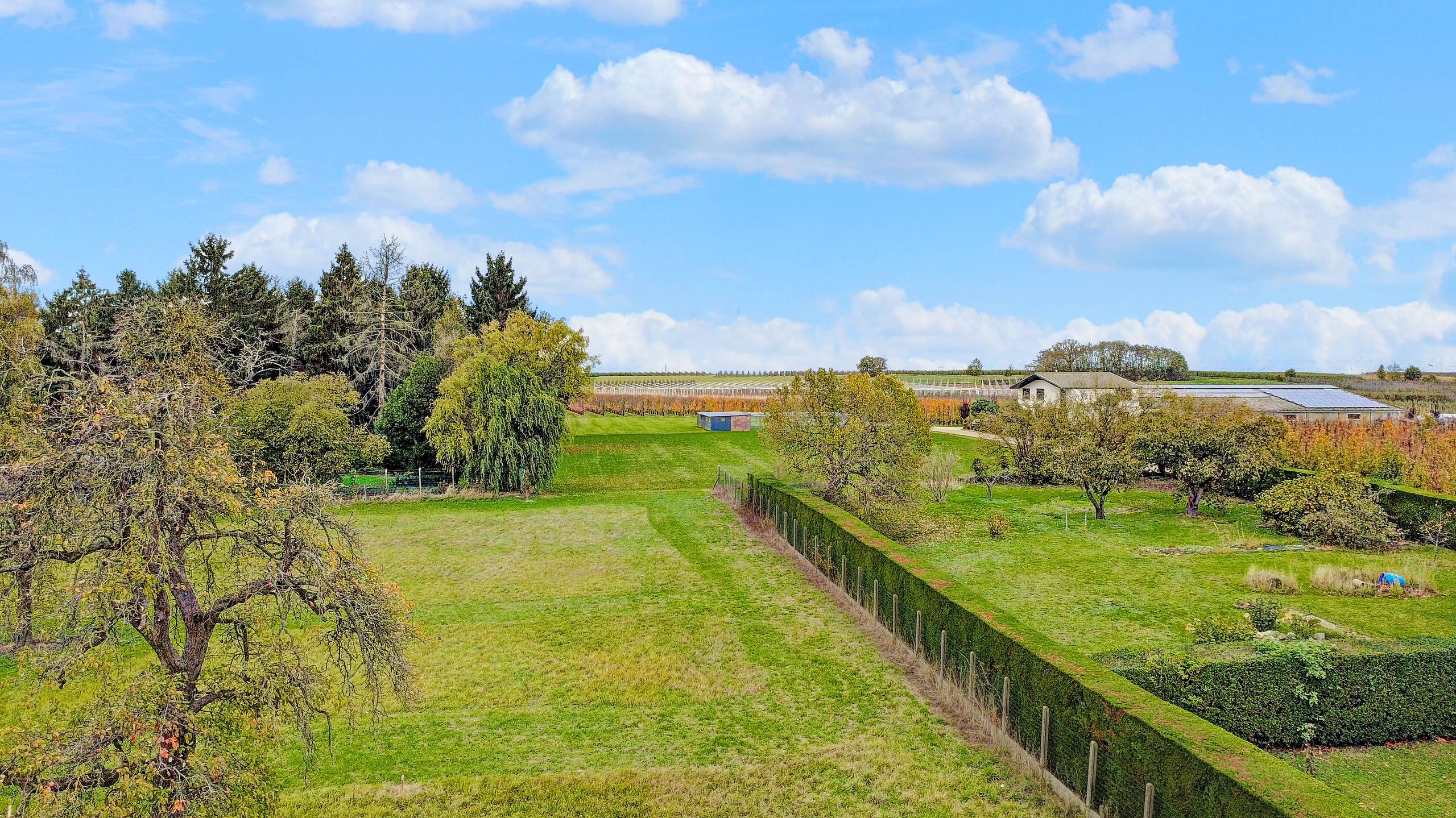 Maison à vendre à Tielt-Winge avec 3 chambres - photo 2