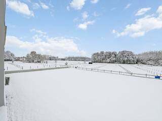 Dit uitgestrekte paardencomplex met maar liefst 35 boxen beschikt over een uitgebreid scala aan faciliteiten die voldoen aan de hoogste normen voor zowel fok- als sportpaarden.<br />De binnenpiste van 27 x 52 meter en de buitenpiste van 32 x 55 meter bieden ideale trainingsmogelijkheden voor zowel dressuur als springen.<br />Daarnaast vervolledigen een stapmolen, winterpaddocks en aansluitende weides het geheel.<br /><br />Grenzend aan deze infrastructuur bevindt zich een ruime woning die volledig voldoet aan de hedendaagse comfort- en kwaliteitsvereisten.<br /><br />Dankzij de rustige maar vlot bereikbare ligging biedt deze eigendom een uitzonderlijk potentieel en tal van mogelijkheden.<br /><br />Er is een mogelijkheid om extra gronden aan te kopen.
