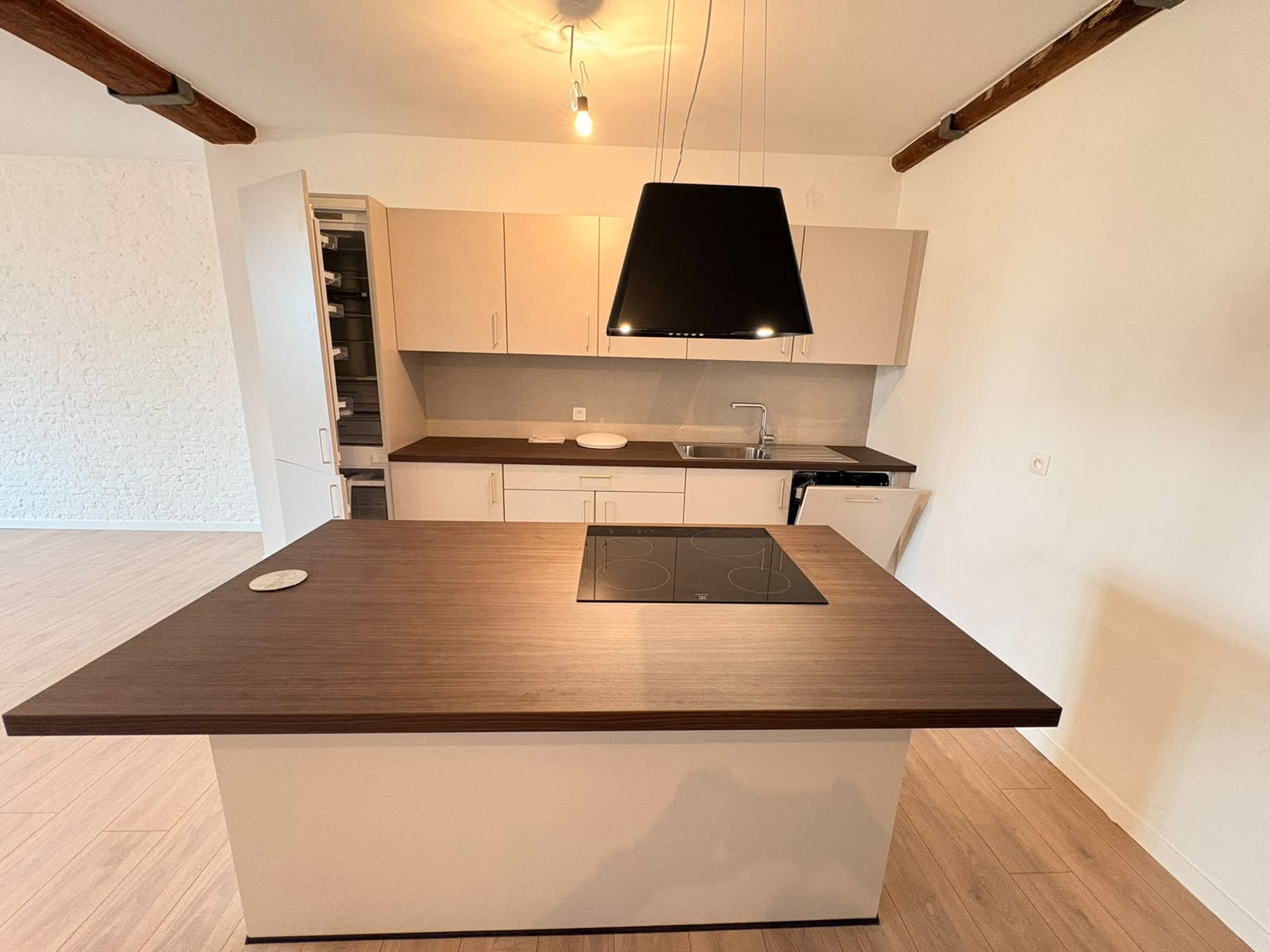 Instapklare, volledig gerenoveerde loft met 2 slaapkamers op het Sint-Jansplein - foto 4