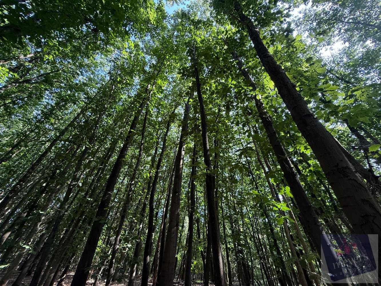 Land for sale in Houthalen-Helchteren - photo 2