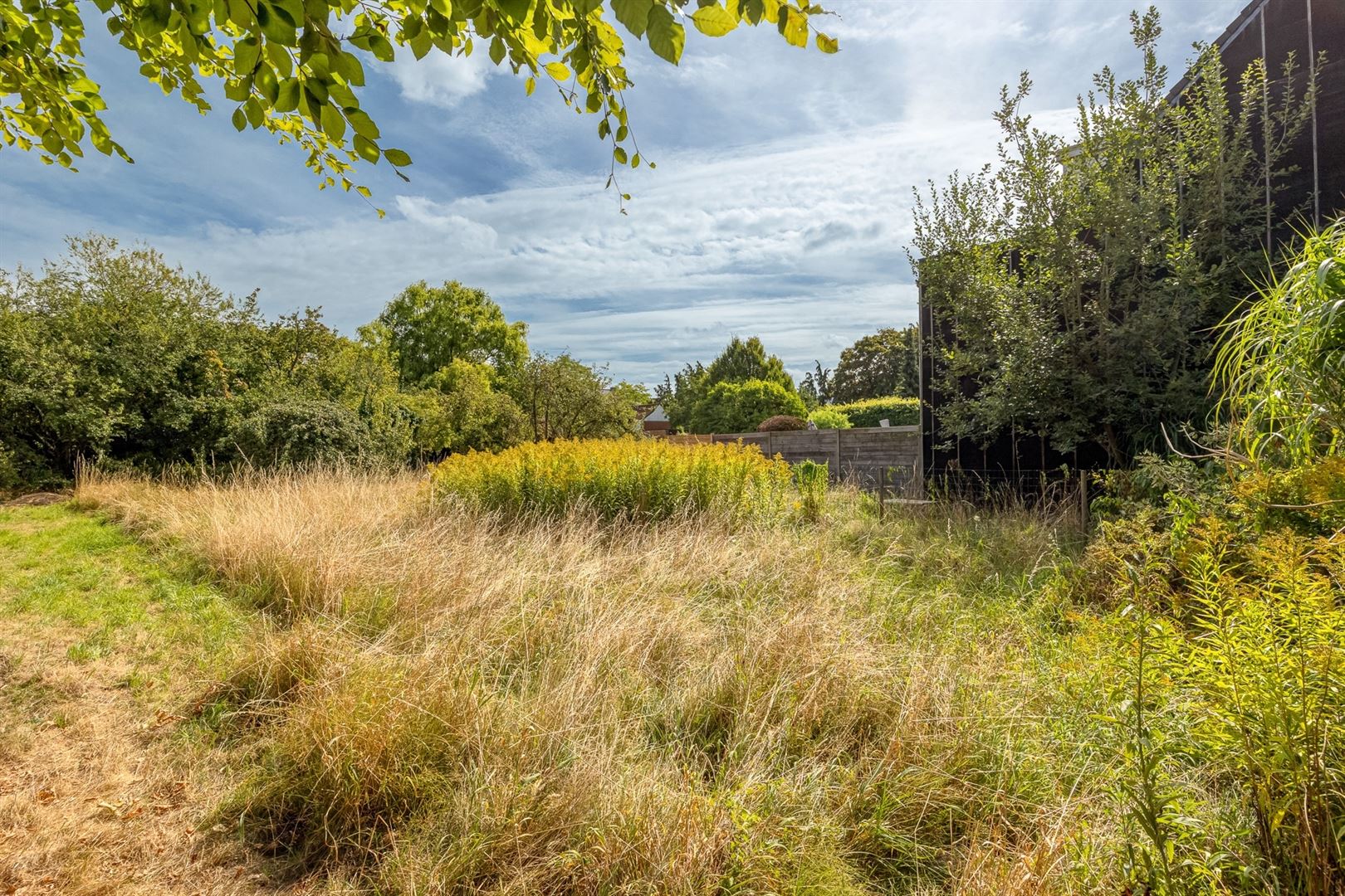 Half open bouwgrond - photo 4