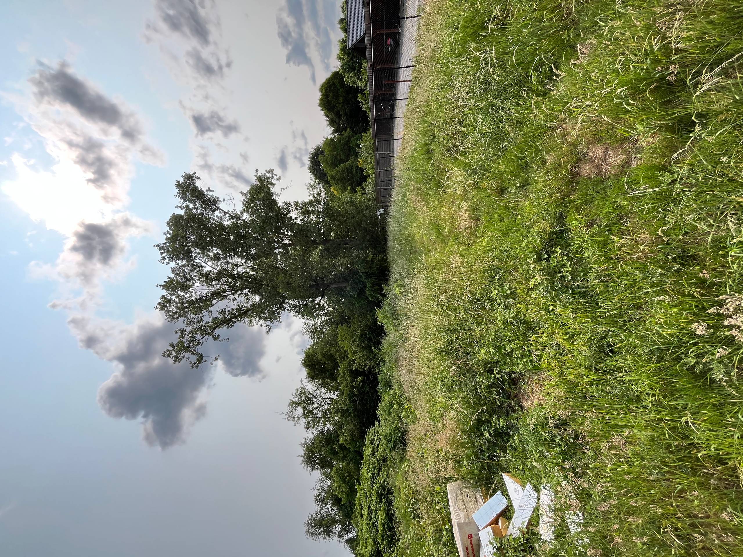 Land for sale in Heusden-Zolder - photo 5