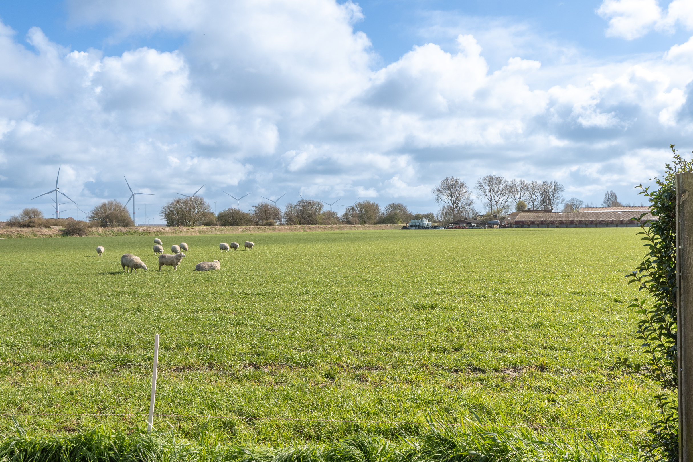Vrijstaande bungalow op 847 m² grond te Zwankendamme - foto 5