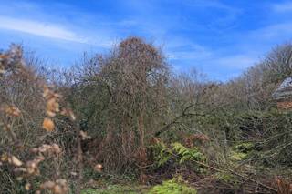 ***Te koop: Bouwgrond voor Halfopen bebouwing***Gelegen aan de voet van Rotselaar Heikant, bieden wij een uitstekend perceel bouwgrond aan voor...