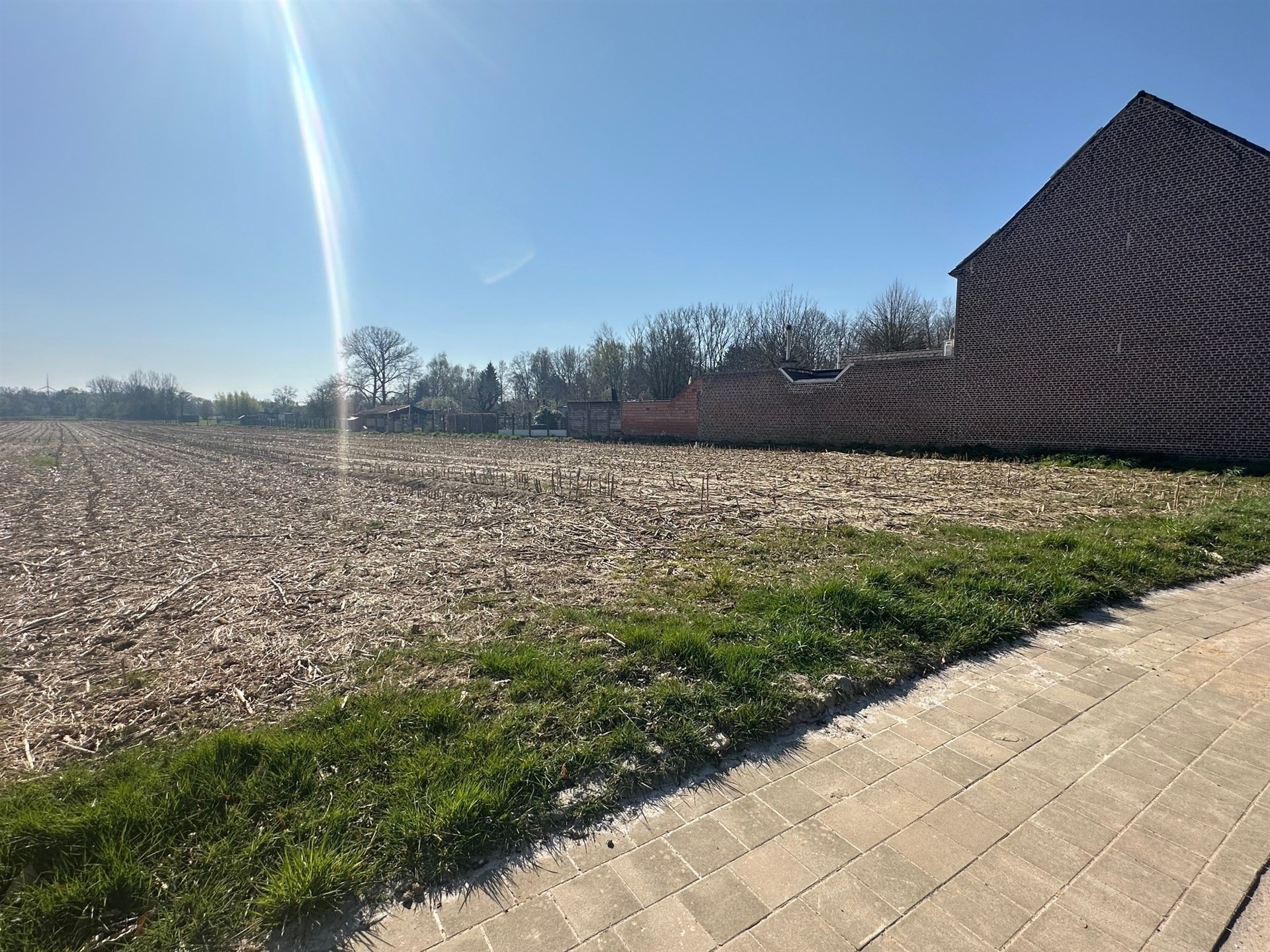 Bouwgrond voor halfopen bebouwing (lot 3) - 439 m² - foto 5