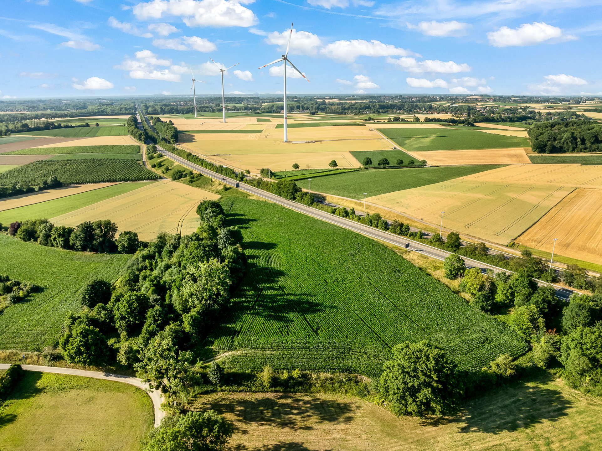 Landbouwgrond 1ha36a02ca te Ketsingen (Tongeren) - foto 3