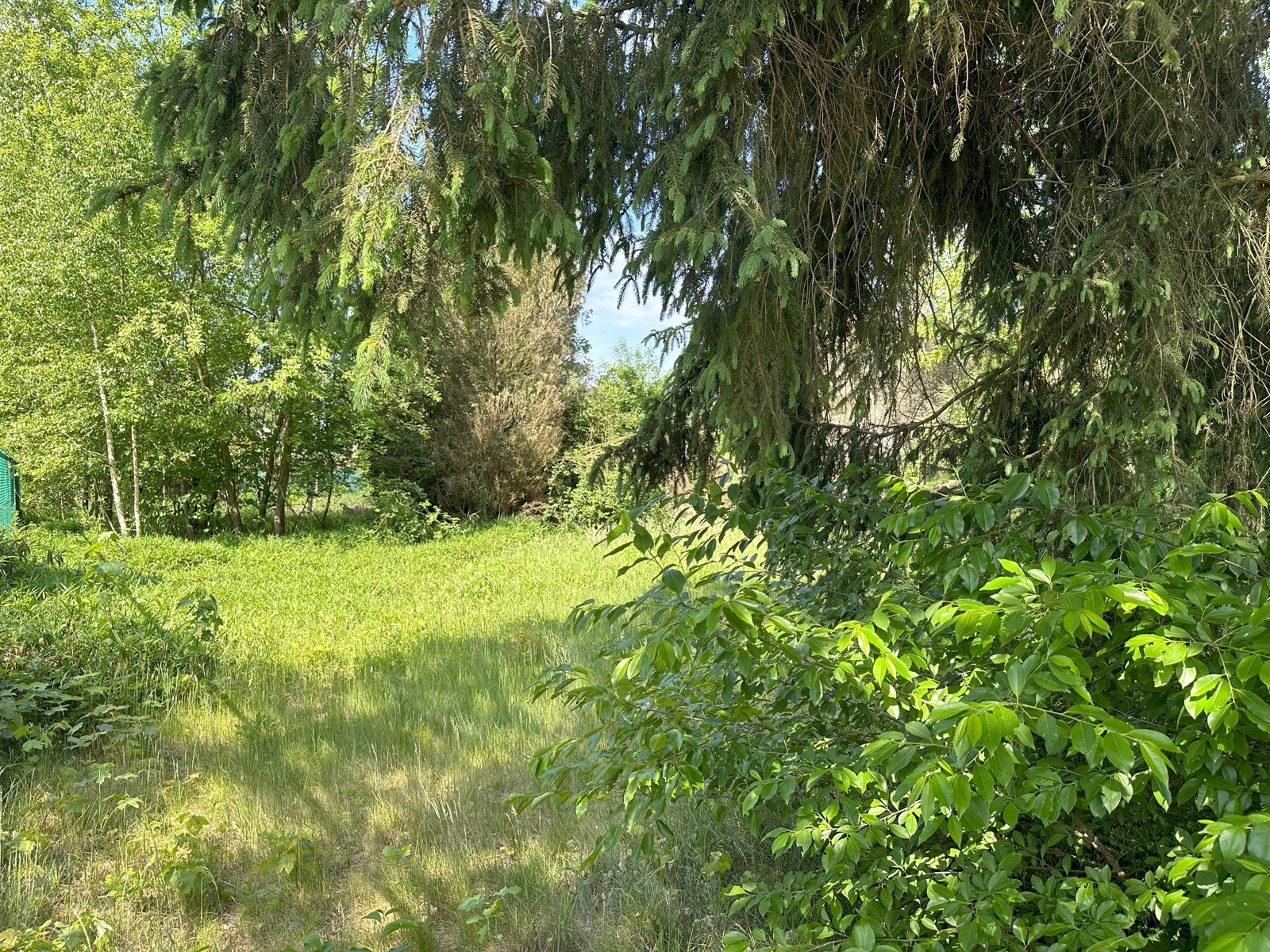 Wonen in het groen  - foto 2