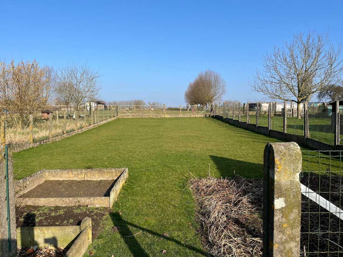 House for sale in Denderhoutem with 4 bedrooms - photo 3