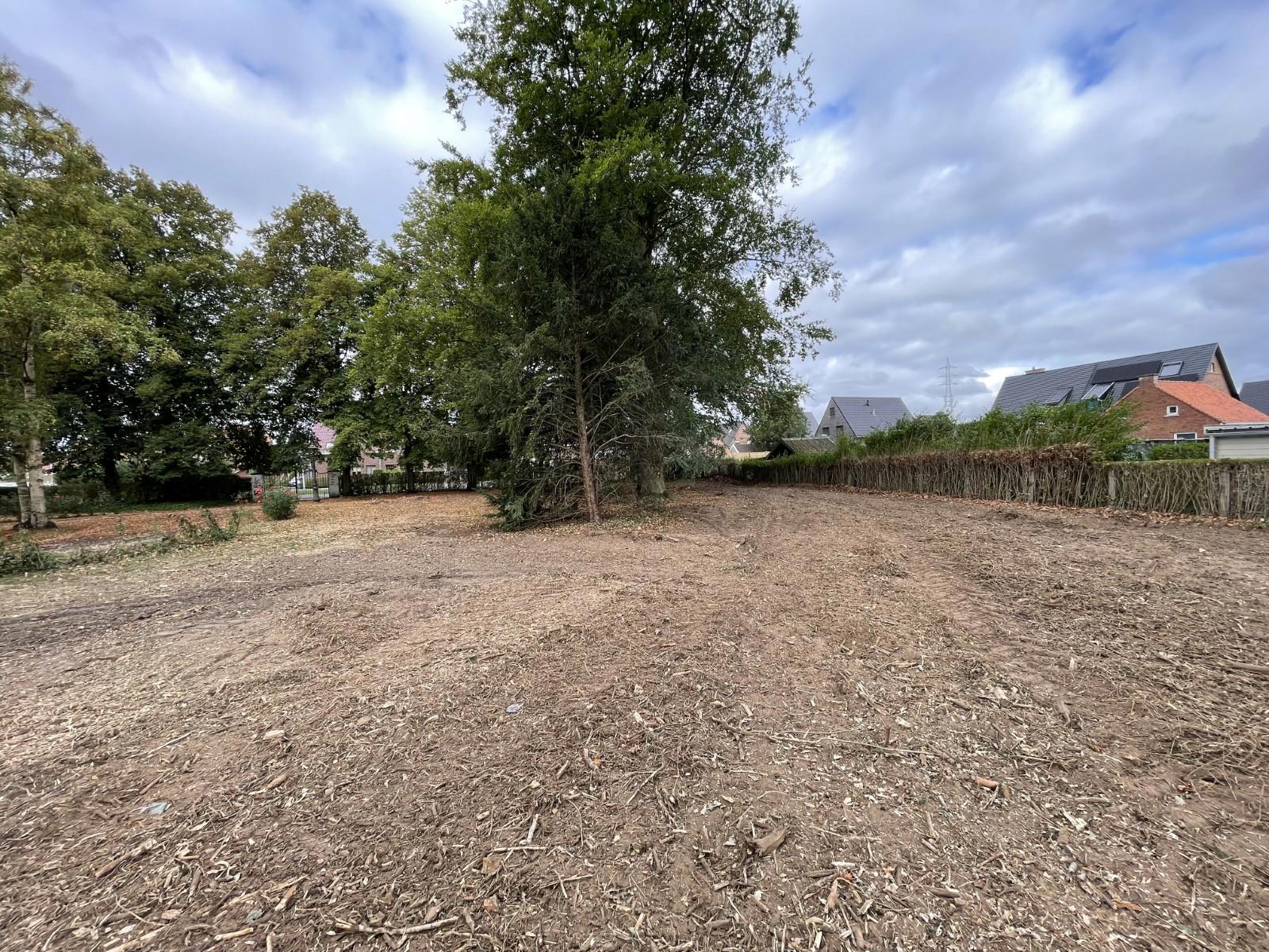 Projet à vendre à Audenarde - photo 2