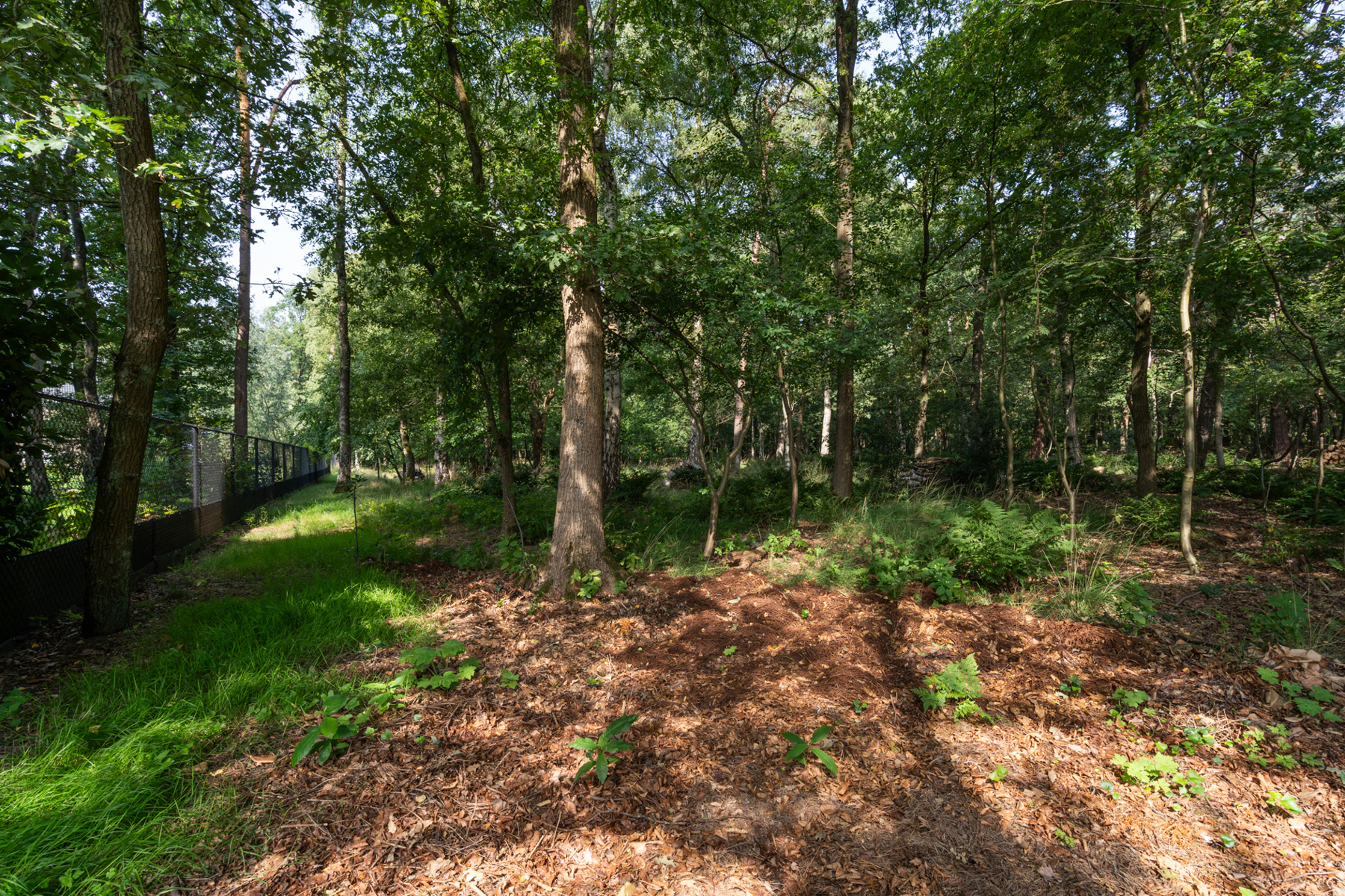 Terrain à vendre à Kapellen - photo 3