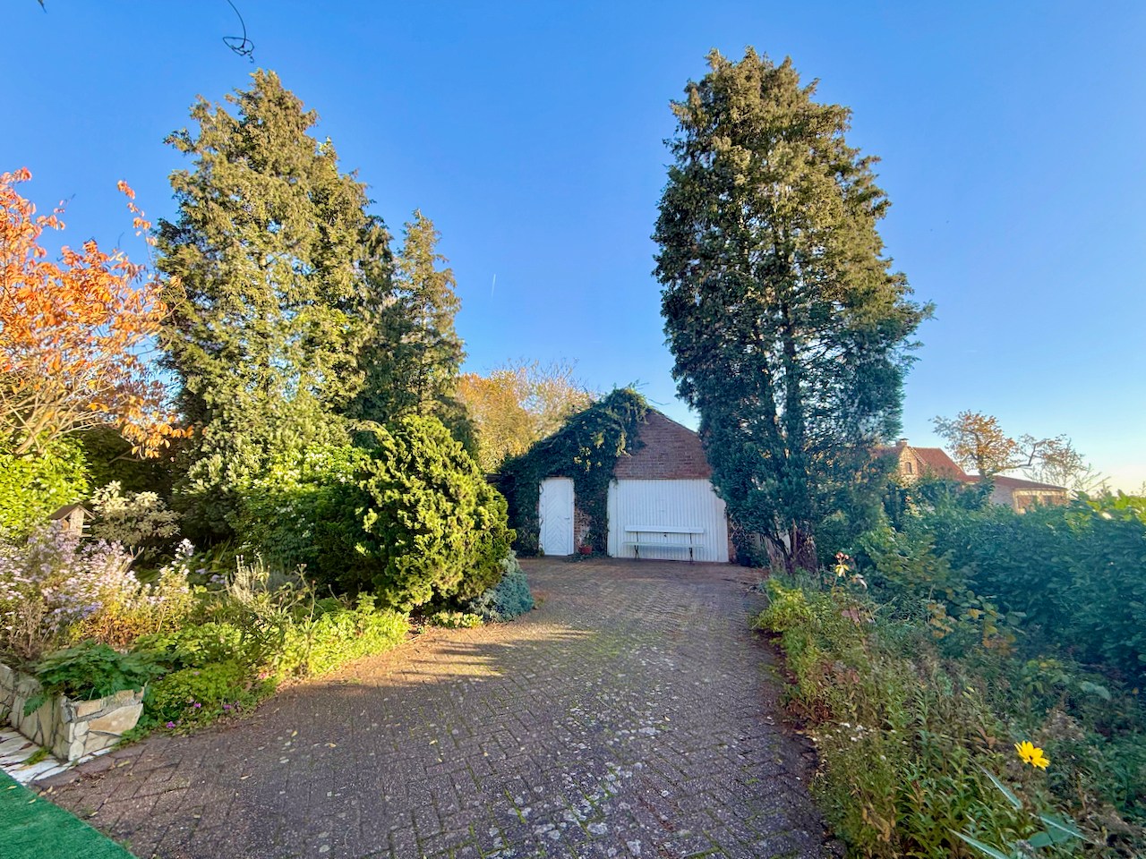 Charmante OPEN bebouwing op TOPlocatie in Kluizen ! - foto 4