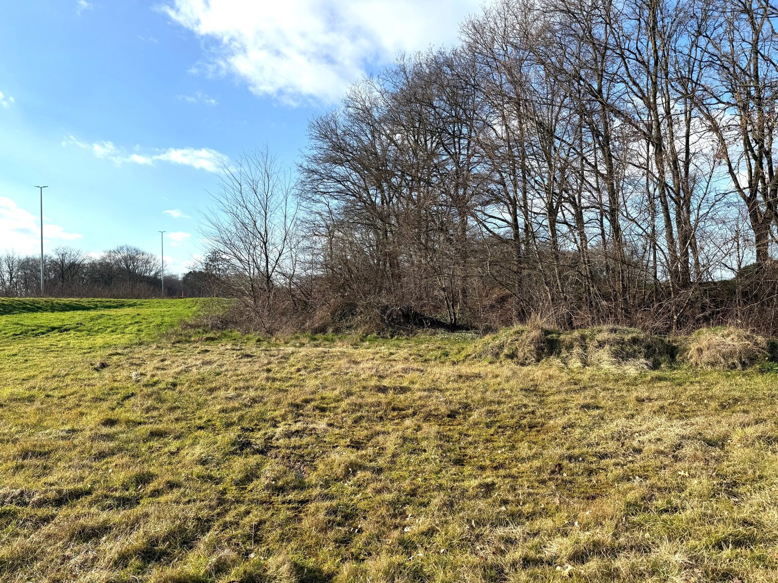 Perceel grond van 7.067 m². - foto 5
