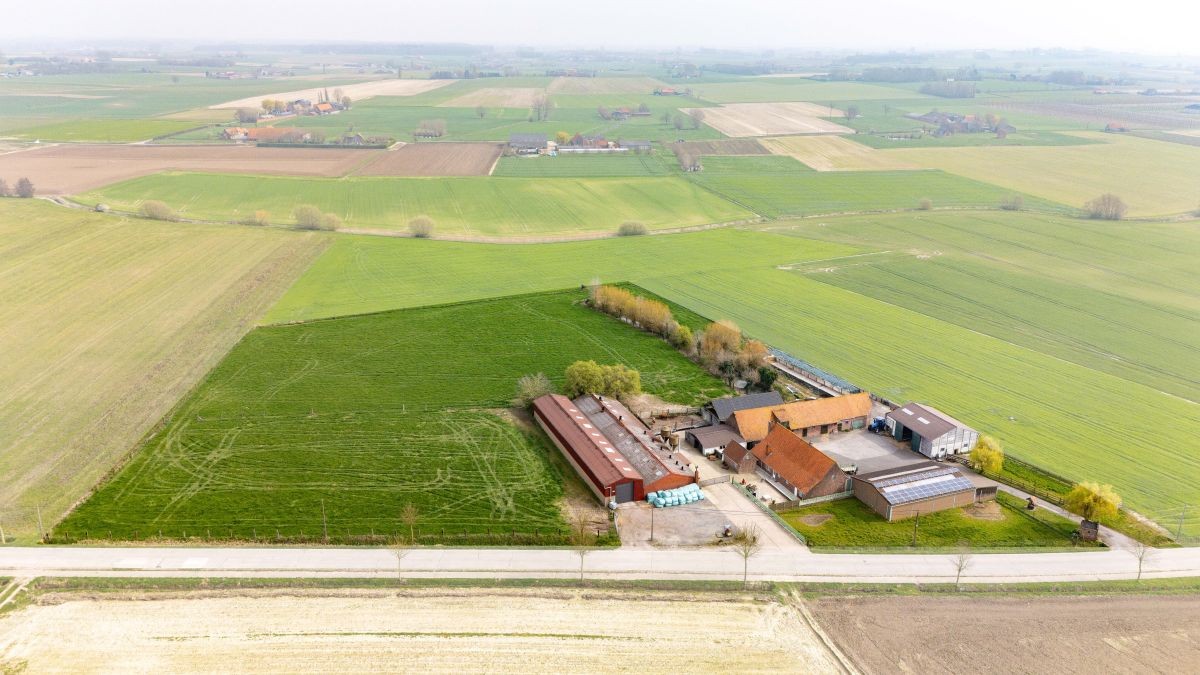 Mooi gelegen hoeve met loodsen op 2,5 ha te koop te Watou - foto 3