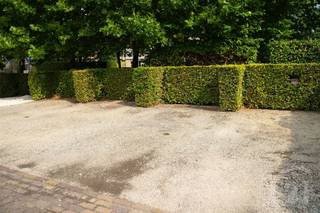 In Westerlo bieden we een buitenstaanplaats te huur aan, ideaal voor het veilig parkeren van een auto of kleine bestelwagen. De staanplaats...