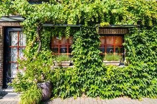 Droom je van een karaktervolle woning in het hart van Eeklo? Zoek je als ondernemer, kunstenaar of vrije beroeper een plek waar wonen en werken perfect samengaan? Of wil je gewoon veel ruimte, authenticiteit en mogelijkheden onder één dak?<br /><br />Dan moet je dit bijzondere hoekpand absoluut ontdekken.<br /><br />Achter deze gevel schuilt een verrassend ruime woning vol karakter, licht en geschiedenis. Ooit was dit een geliefde ontmoetingsplek voor Eeklonaars.<br /><br />Vandaag biedt het pand een zeldzame combinatie van gezellige woonruimtes, inspirerende werkplekken, authentieke elementen en een zonnige stadstuin. Een plek waar gezinnen kunnen groeien, ondernemers kunnen creëren en nieuwe verhalen kunnen ontstaan.<br /><br />Op wandelafstand van de Markt, De Herbakker, de bibliotheek, de kunstacademie, winkels en horeca geniet je bovendien van een toplocatie in het culturele hart van Eeklo.<br /><br /><strong>Gelijkvloers: verrassend ruim en vol karakter</strong><br />Via de voordeur aan de Molenstraat kom je binnen in een praktische inkomhal met ruime berging. Van daaruit stap je de gezellige leefkeuken binnen, voorzien van een ontbijthoek waar het heerlijk vertoeven is. Achter de keuken bevindt zich een handige tussenruimte die perfect dienst doet als extra opbergruimte en toegang biedt tot een droge, oude kelder.<br /><br />De keuken leidt vervolgens naar een sfeervolle woonkamer met pelletkachel, authentieke glas-in-loodramen en een prachtige open balkstructuur. Aansluitend bevindt zich de recent gebouwde veranda, een heerlijke plek waar je het hele jaar door kunt genieten van het uitzicht op de zonnige, fraai aangelegde binnentuin.<br /><br />Verderop vind je een smaakvol ingerichte badkamer en apart toilet.<br /><br />Een lange, lichte ruimte met meerdere lichtkoepels vormt één van de absolute blikvangers van de woning. Dankzij de overvloed aan natuurlijk licht kan deze ruimte perfect ingericht worden als eetkamer, extra salon, bibliotheek, atelier, praktijkruimte of kantoor. De mogelijkheden zijn eindeloos. Wie het verleden van het pand kent, herkent hier nog de plaats waar vroeger de authentieke cafétoog stond.<br /><br /><strong>Een tweede vleugel met tal van mogelijkheden</strong><br /><br />Deze ruimte brengt je naar de inkomhal aan de zijde van de Pastoor De Nevestraat. Ook hier beschik je over een aparte toegang, wat extra mogelijkheden creëert voor wie wonen en werken wil combineren.<br /><br />Vanuit deze hal bereik je een polyvalente bovenruimte die ideaal is als bureau, hobbyruimte, atelier, praktijkruimte, speelkamer of mancave.<br /><br />Daarnaast bevindt zich hier een bijzonder ruime slaapkamer met aansluitende dressing. Ooit vormde deze ruimte de gezellige horecazaal van het voormalige café, compleet met podium voor optredens en ontmoetingen.<br /><br />Vandaag geniet je er van veel ruimte, grote raampartijen en een aangenaam uitzicht op de straatzijde.<br /><br /><strong>Een gezellige bovenverdieping</strong><br />Via de trap in de keuken bereik je het oudste gedeelte van de woning.<br /><br />Hier bevinden zich drie charmante slaapkamers met zichtbare balkstructuren, een tweede badkamer en een handige bergruimte.<br /><br />Vanuit deze bergruimte krijg je toegang tot een ruime, droge zolder die nog heel wat extra mogelijkheden biedt voor opslag of verdere inrichting.<br /><br />Waarom dit pand zo bijzonder is<br />✅ Karaktervol pand met rijke geschiedenis<br />✅ Uitzonderlijk veel bruikbare ruimte<br />✅ Mogelijkheid tot combinatie van wonen en werken<br />✅ Ideaal voor vrije beroepen, creatieve ondernemers of grote gezinnen<br />✅ Authentieke elementen zoals glas-in-loodramen en balkenstructuren<br />✅ Zonnige binnentuin en recente veranda<br />✅ Centrale ligging in het culturele hart van Eeklo<br />✅ Meerdere toegangen en flexibele indeling<br /><br />Schrijf jij het volgende hoofdstuk?<br /><br />Dit is geen doorsnee woning. Het is een plek met een verhaal.<br /><br />Een voormalig café, ontmoetingsplek en stukje Eeklose geschiedenis dat klaar is voor een nieuwe toekomst.<br />Of je hier nu je gezinswoning, praktijk, atelier of creatieve ondernemersstek van maakt: dit pand biedt ruimte om je eigen dromen vorm te geven.<br /><br />Kom langs en ontdek zelf het uitzonderlijke potentieel van deze unieke eigendom.