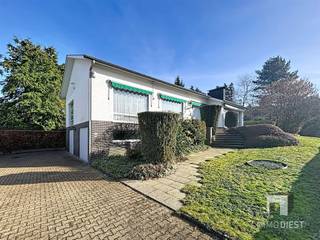 <p><span>GELIJKVLOERSWONING IN TESSENDERLO MET UITSTEKENDE POTENTIEEL</span></p><p><span> </span></p><p><span>Deze charmante gezinswoning bevindt zich op Baalberg in Tessenderlo en beschikt over 4 slaapkamers, een ruime bruikbare kelder, 2 garages en een leeftuimte met veel lichtinval.</span></p><p><span> </span></p><p><span>BUITENAANZICHT EN GRONDOPPERVLAK</span></p><p><span> </span></p><p><span>Het pand beschikt over een indrukwekkend perceel van 1260 m², voorzien van een aangename groene tuin aan de zuidzijde. Een ruim terras aan de achterkant en zijkant van de woning en voldoende parkeerruimte langs de woning.</span></p><p><span> </span></p><p><span>INDELING EN LEEFRUIMTEN</span></p><p><span> </span></p><p><span>Met een totale bruikbare vloeroppervlakte van 340 m² beschikt de woning over vier ruime slaapkamers, verdeeld over het pand. De leefgedeelten zijn voorzien van karakteristieke houten balkenplafonds met natuurlijke afwerkingen die warmte en elegantie uitstralen. Op het gelijkvloers bevinden zich 3 slaapkamers, badkamer met ligbad, gastentoilet, keuken en ruime lichtrijke leeftruimte.</span></p><p><span>Op de benedenverdieping is nog een 4 slaapkamer, een tweede badkamer met douche, twee inpandige garages die ook kunnen omgevormd worden tot multifunctionele bruikbare ruimtes gezien ze daglicht hebben. Een ruime kelderruimte zonder daglicht maar wel bruikbaar.</span></p><p><span> </span></p><p><span> </span></p><p><span>LIGGING EN OMGEVING</span></p><p><span> </span></p><p><span>De woning is gelegen in een rustige omgeving, perfect voor gezinnen of vrijberoepers die extra ruimte aan de woning zoeken. Door de hoger ligging straalt deze witte villa extra cachet uit.</span></p><p><span> </span></p><p><span>Een eigendom met potentieel voor diegenen die waarde hechten aan ruimte, ligging en praktische indeling.</span></p><p><span> </span></p><p><span>Bel Immo Diest 013/31.25.22, wij helpen u verder met de glimlach.</span><span> </span></p>