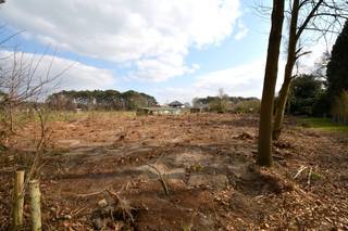 Land for sale in Westerlo