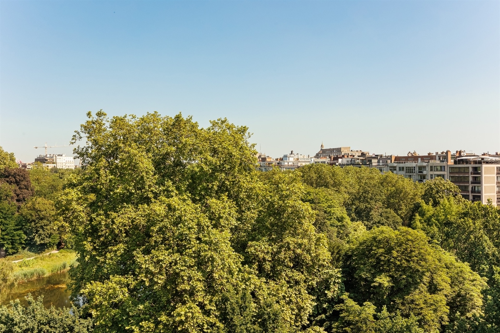 Stadspark ∣ Spacious flat of approx 201m² with 3 bedrooms + P - photo 4