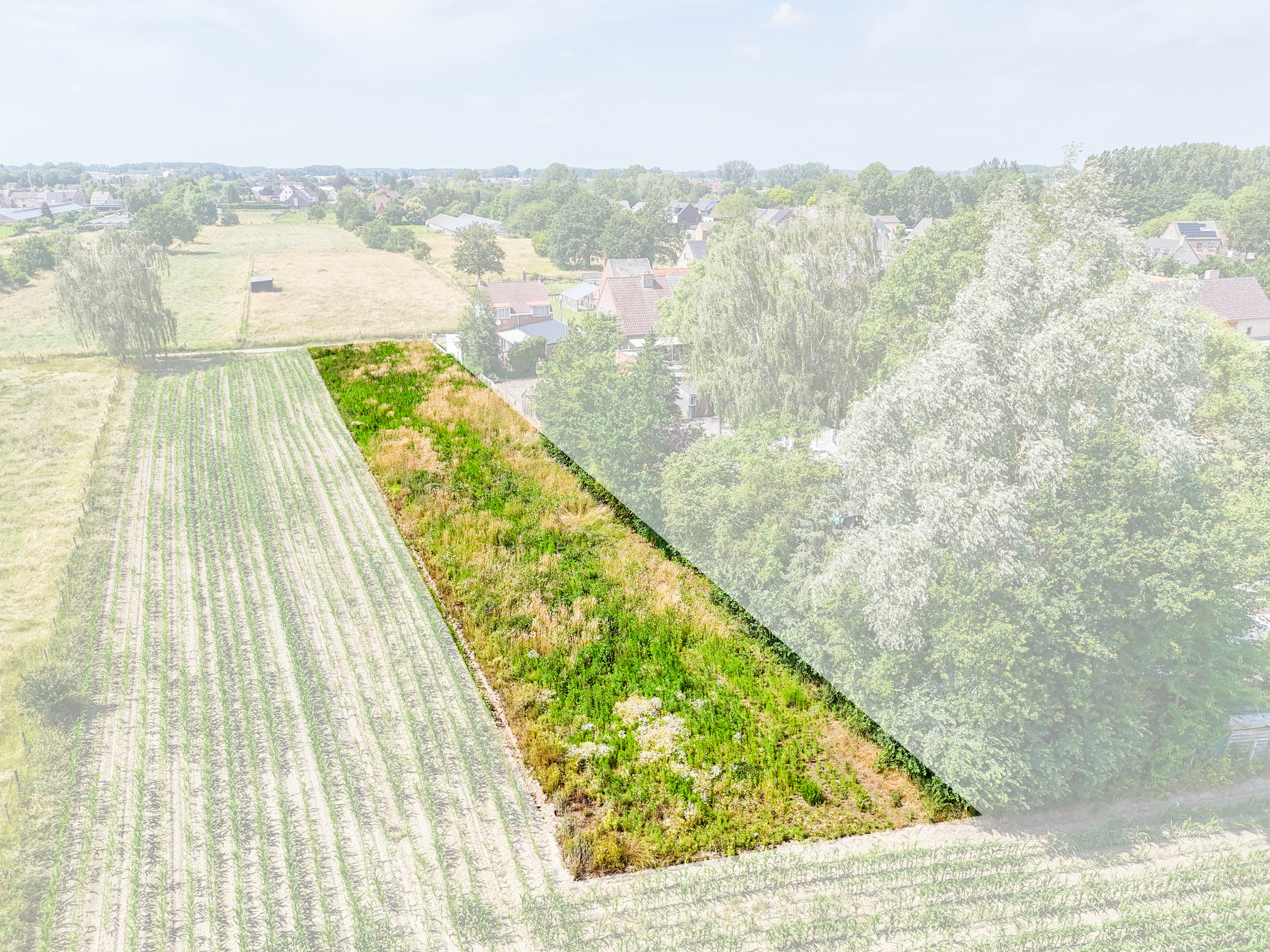 Land for sale in Dendermonde - photo 2