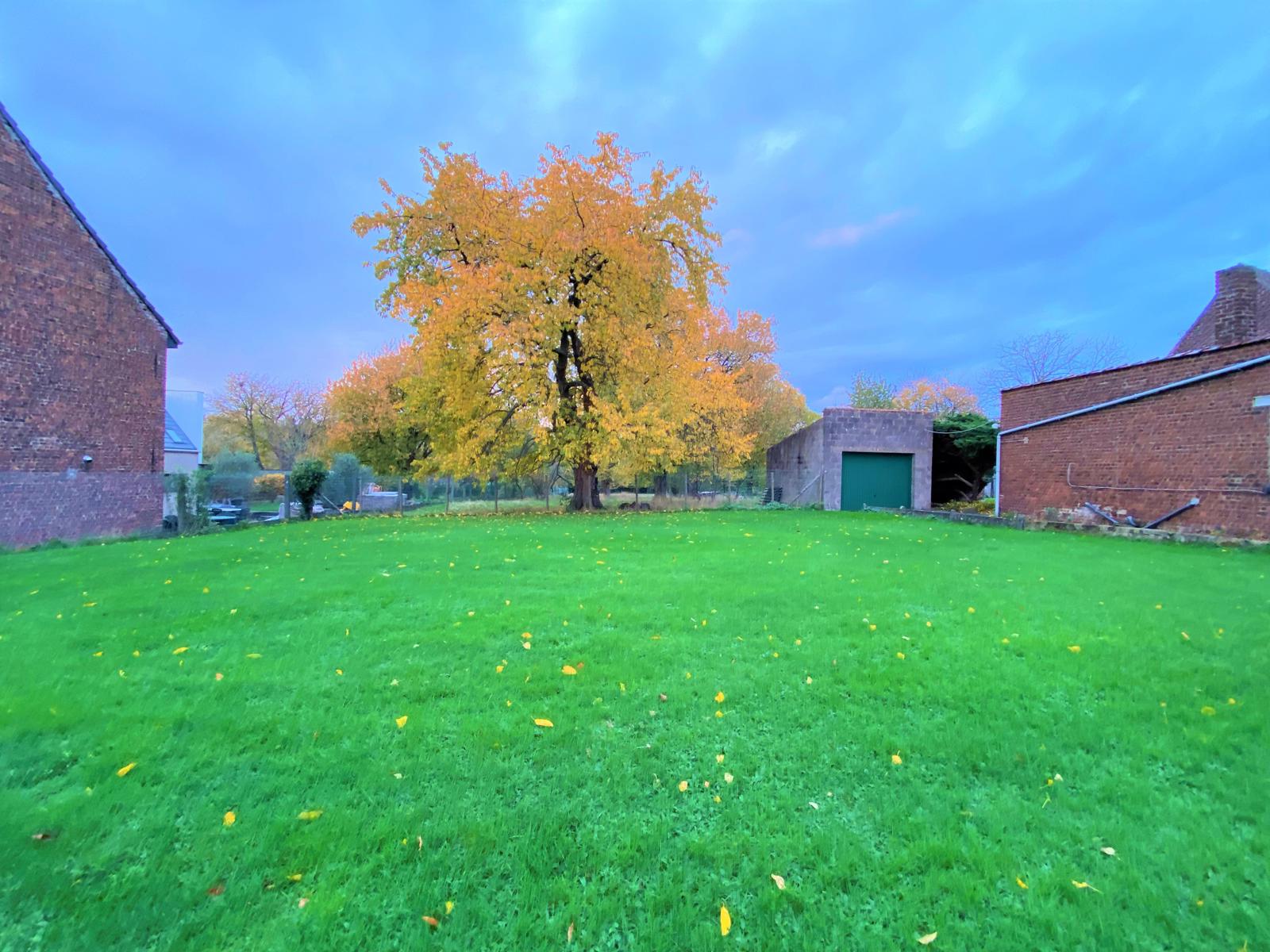 Bouwgrond voor open bebouwing van 23a 38ca - foto 1