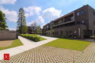<p>Comfortabel wonen met extra luxe in hartje Sint-Niklaas</p><p>Ontdek deze verzorgde serviceflat in Sint-Niklaas, gelegen op de eerste verdieping in een modern en kwalitatief wooncomplex van 2016. Hier geniet u van comfortabel en zorgeloos wonen, gecombineerd met tal van gemeenschappelijke faciliteiten die bijdragen aan een aangename levensstijl.</p><p>De flat omvat een gezellige leefruimte met veel lichtinval, een praktische keuken, één ruime slaapkamer en een moderne badkamer uitgerust met een comfortabele inloopdouche. Het aangename terras vormt de ideale plek om in alle rust te ontspannen. Bovendien beschikt het appartement over een private garage, wat extra comfort en gebruiksgemak biedt.</p><p>Als bewoner geniet u daarnaast van de exclusieve faciliteiten binnen het complex, waaronder een gemeenschappelijk zwembad en sauna — perfect om dagelijks te ontspannen in een rustige en veilige omgeving.</p><p>Deze serviceflat is ideaal voor wie op zoek is naar comfortabel wonen met extra voorzieningen, op een vlotte ligging in Sint-Niklaas, dichtbij winkels, openbaar vervoer en andere voorzieningen.</p><p>Interesse? Contacteer ons vandaag nog voor meer informatie of een bezoek ter plaatse.</p>