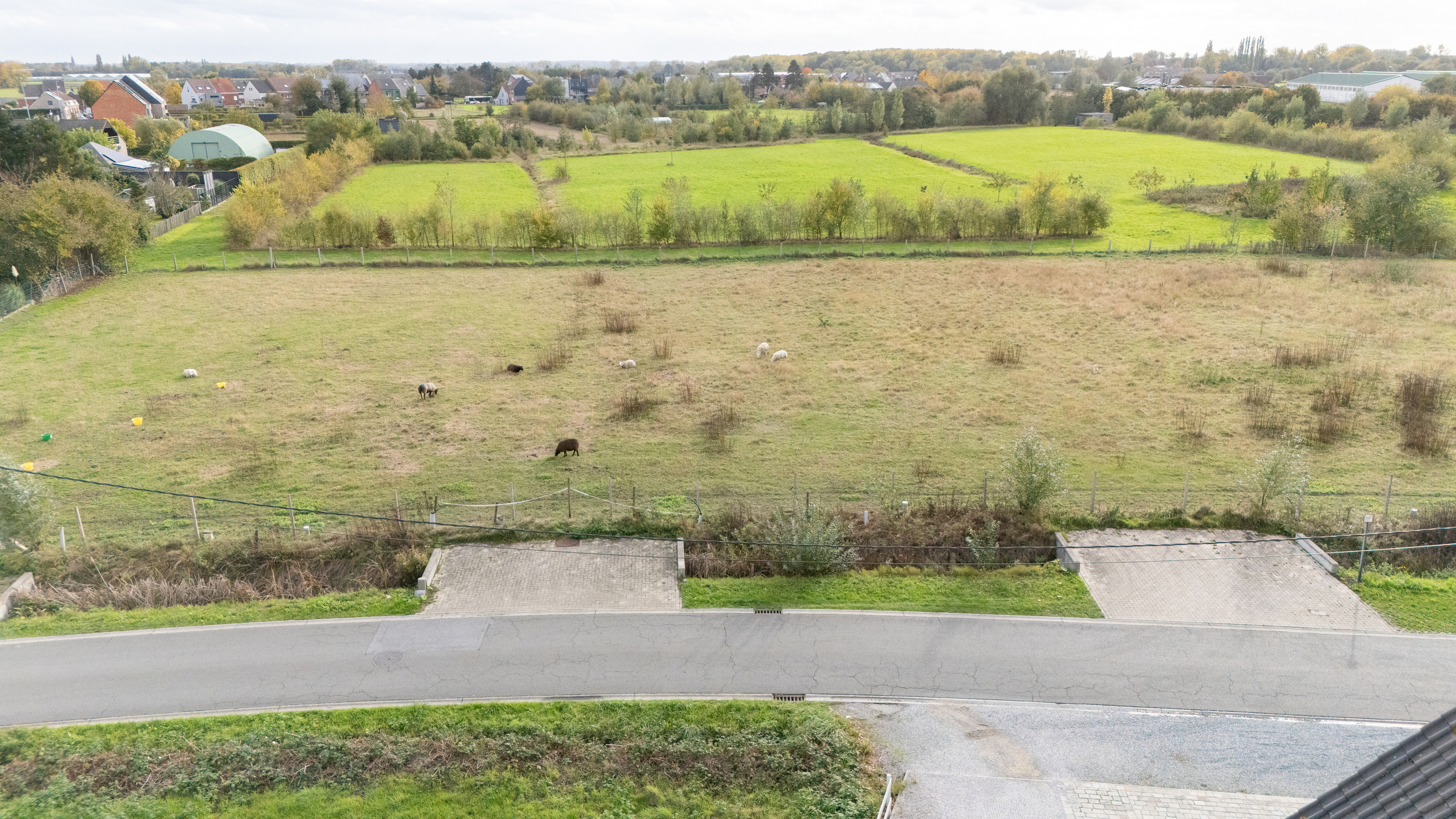 Ruim perceel te koop in Dendermonde - foto 2