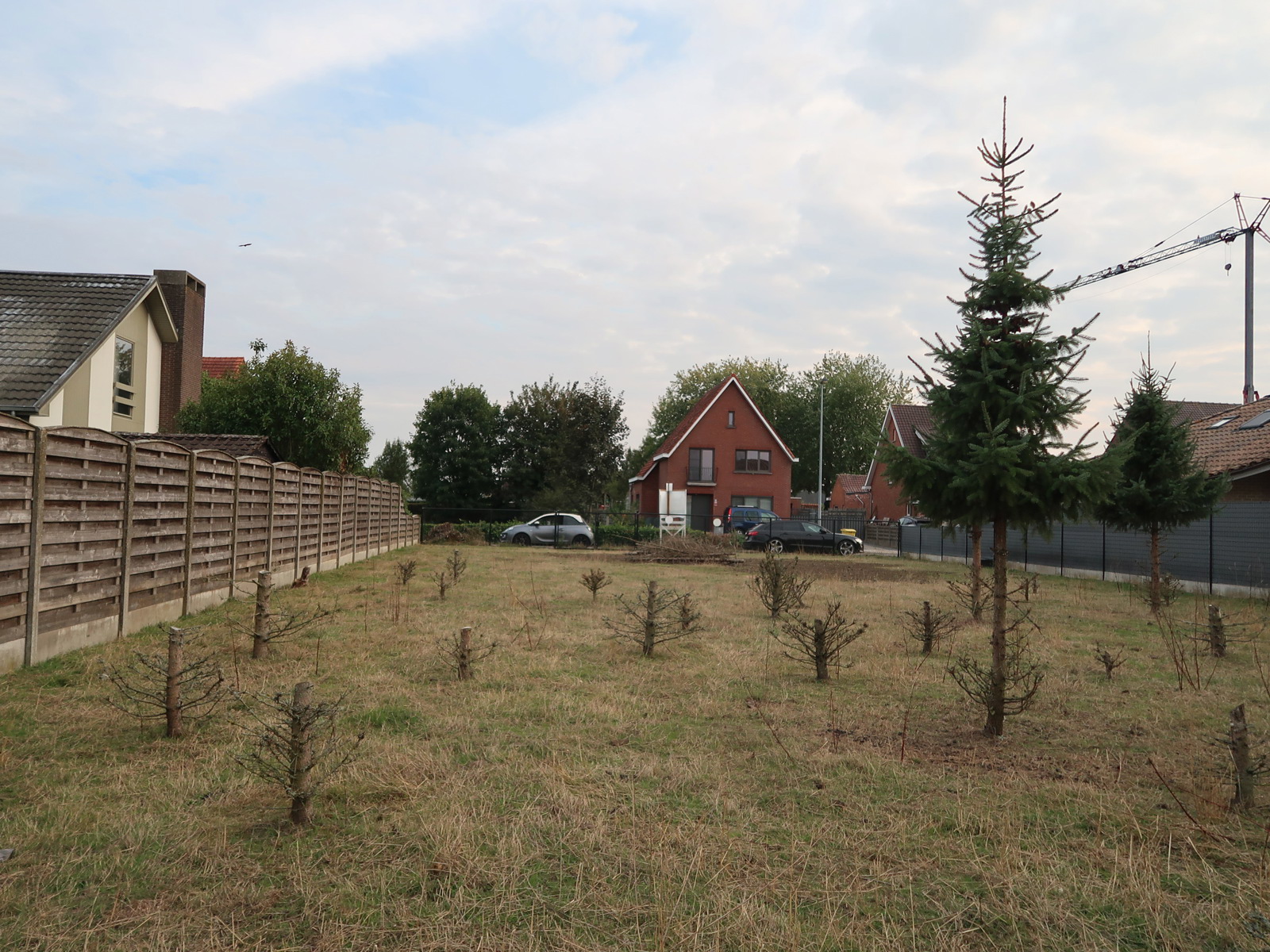 GROOT perceel 770m² open bebouwing te WESTERLO - foto 4