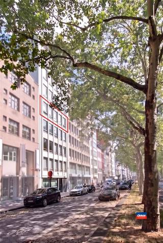 <p><span> </span></p><p><span>Atouts :</span></p><p><span>* Possibilité d'acquérir une place de parking lors de l'achat</span></p><p><span>* À proximité du quartier Zuid, rénové et animé</span></p><p><span>* Le KMSKA, des cafés et des restaurants accessibles à pied</span></p><p><span>* Transports en commun juste devant la porte</span></p><p><span>* Accès aux autoroutes E34, E19 et A12</span></p><p><span></span></p><p><span> </span></p><p><span>Rénovations :</span></p><p><span>* isolation intérieure des façades</span></p><p><span>* Fenêtres remplacées en 2017</span></p><p><span>* Salle de bains en 2017</span></p><p><span>* Salle de bains n° 2 : 2025</span></p><p><span>* chaudière en 2020</span></p><p><span>* cuisine en 2010</span></p><p><span>* installation électrique 2010</span></p><p><span>* vers 2016</span></p>